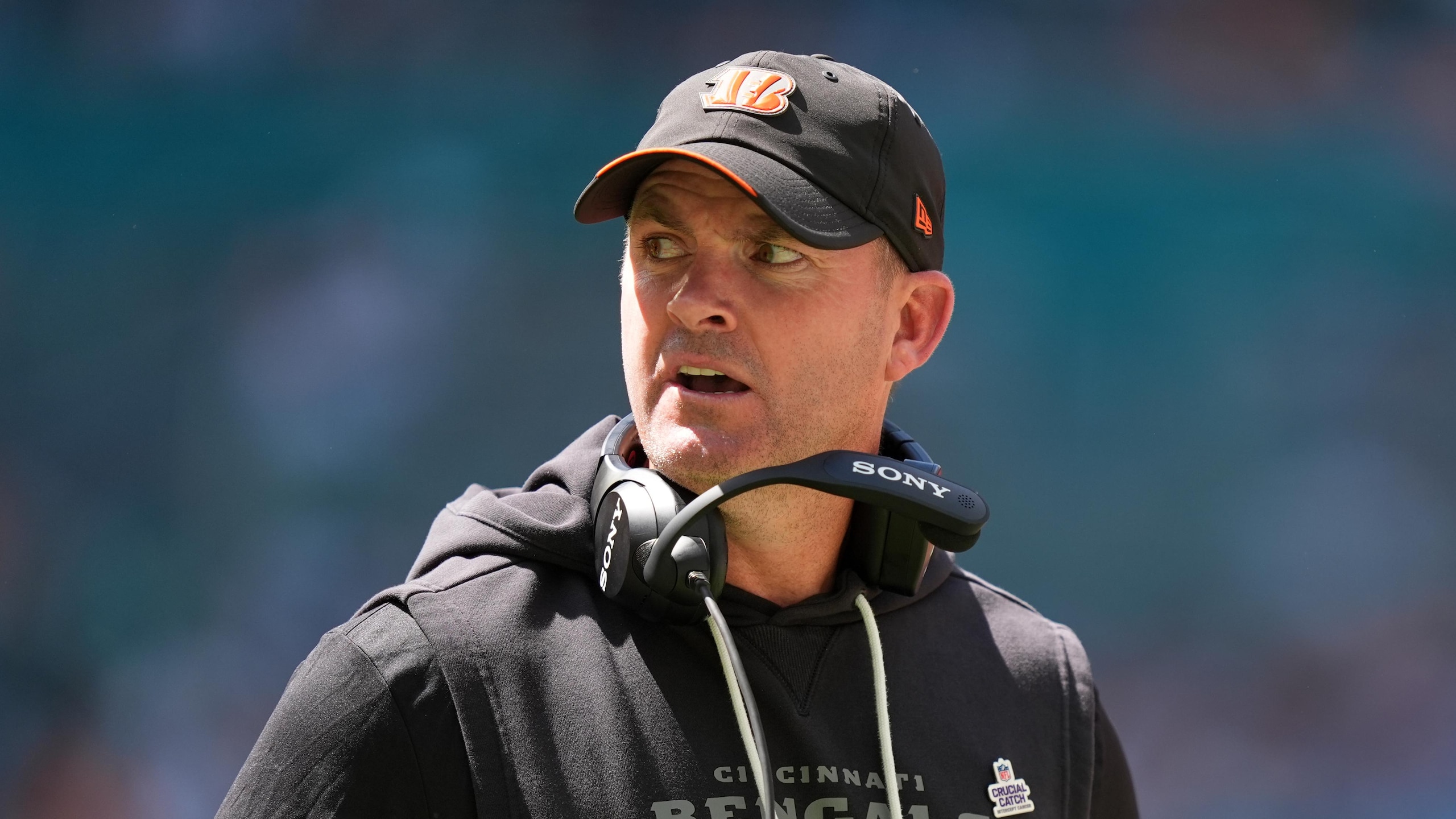 Bengals Dolphins Football