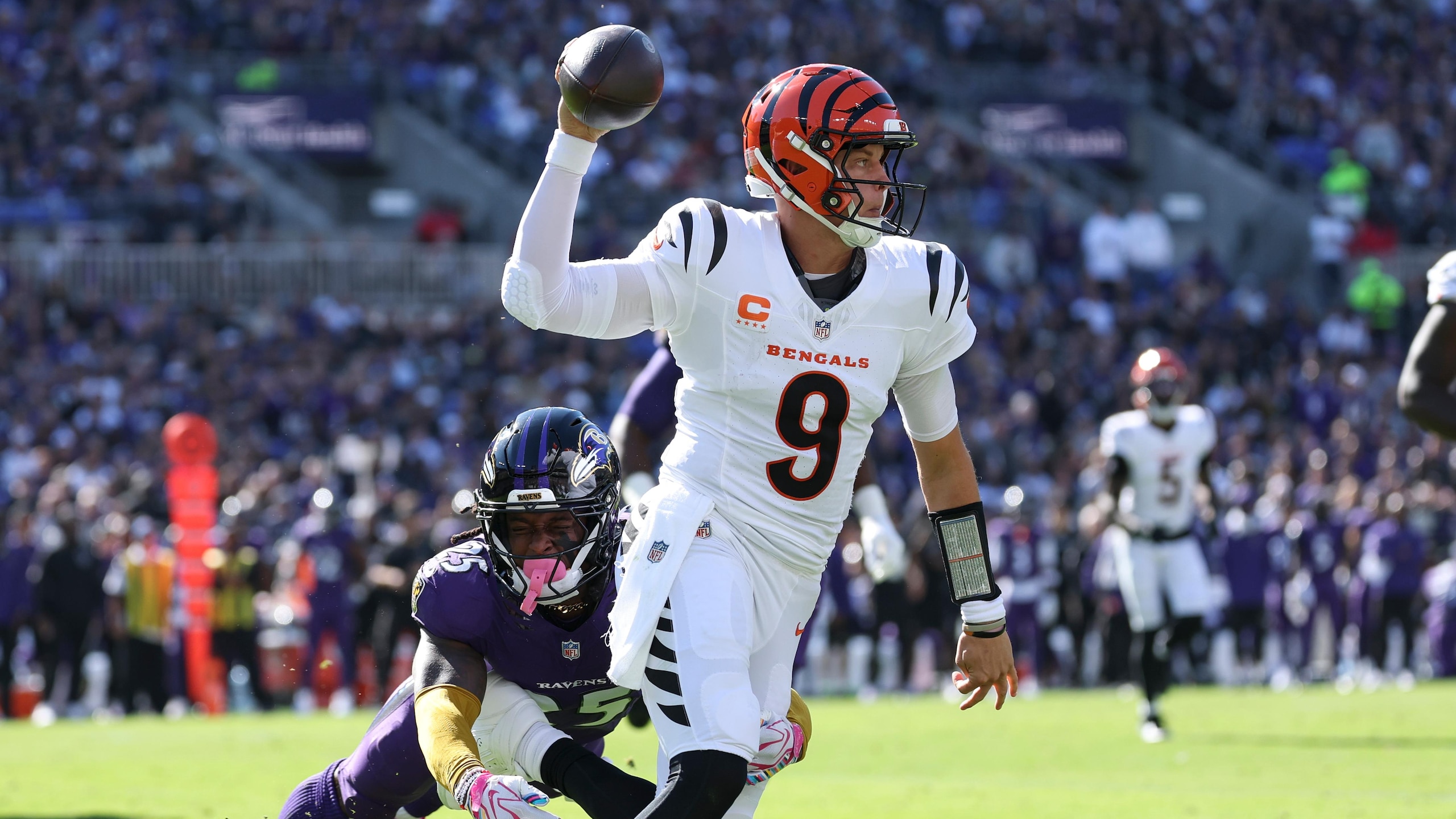 Bengals Ravens Football