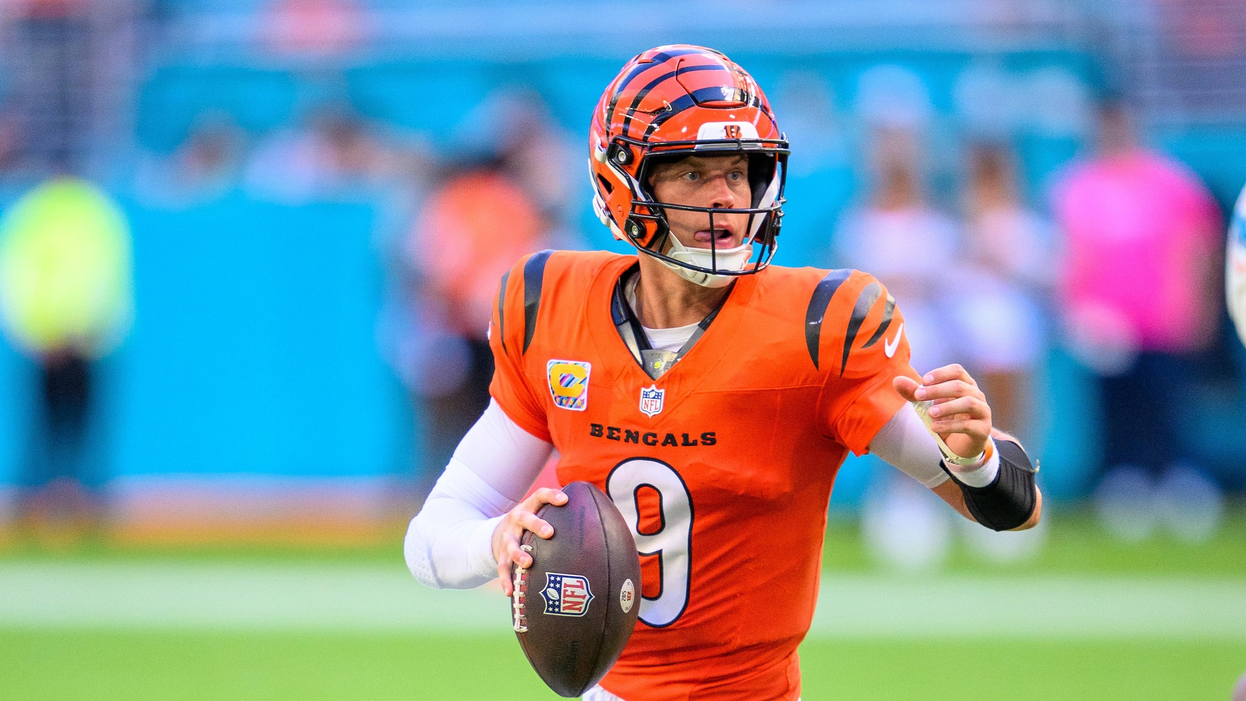 Bengals Dolphins Football