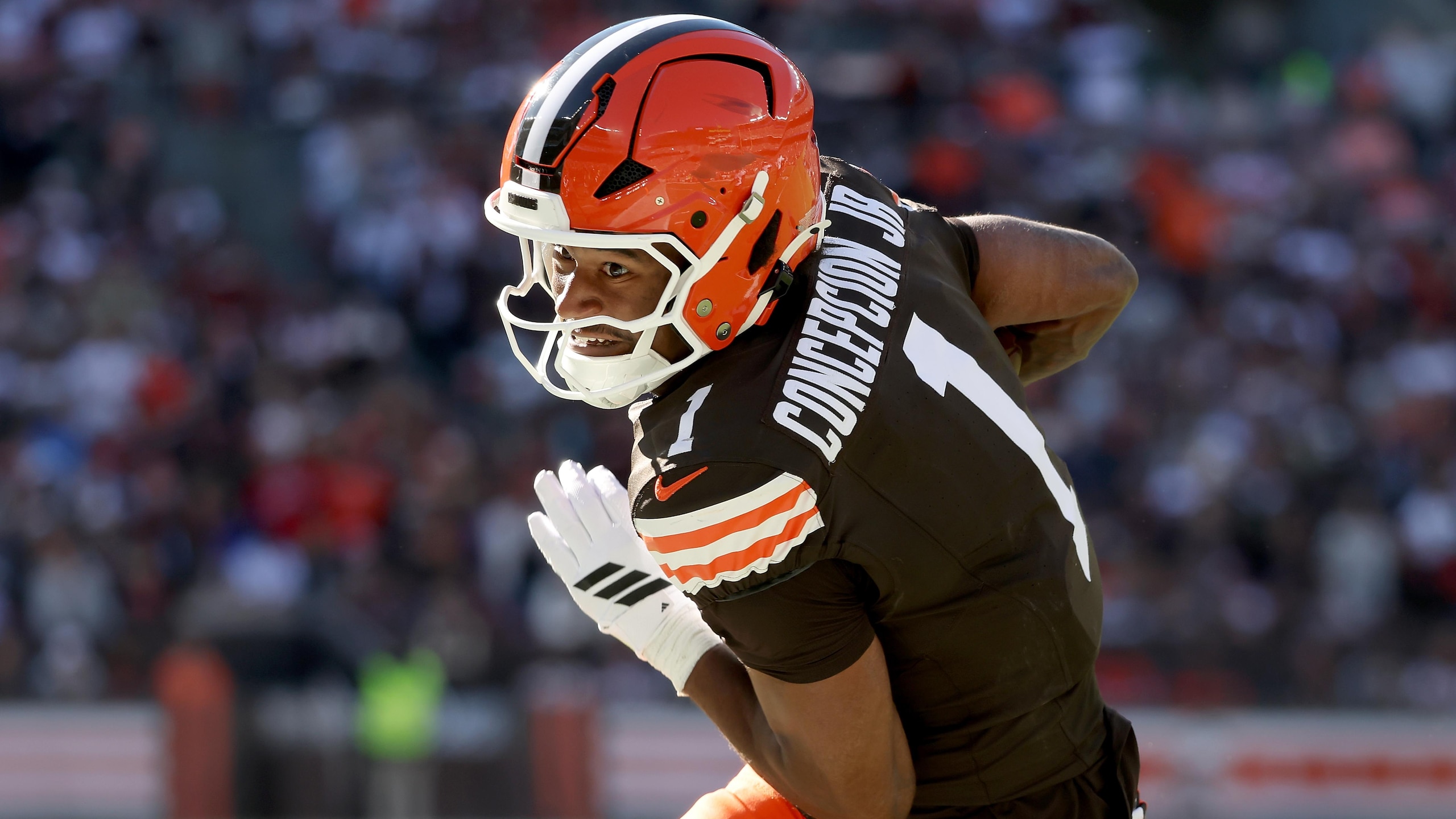 Ravens Browns Football