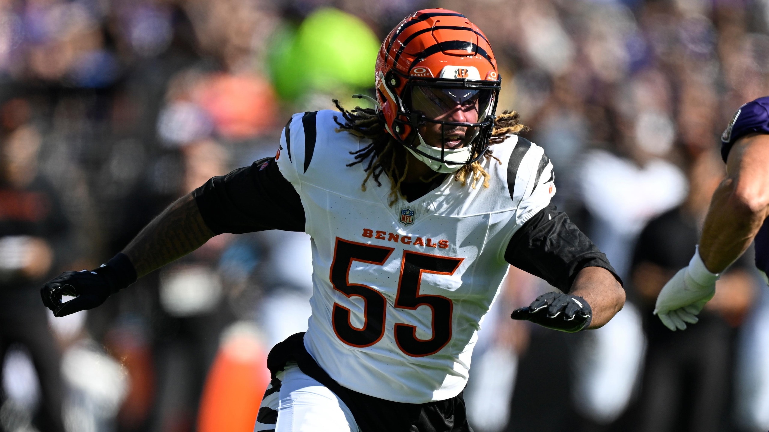 Bengals Ravens Football
