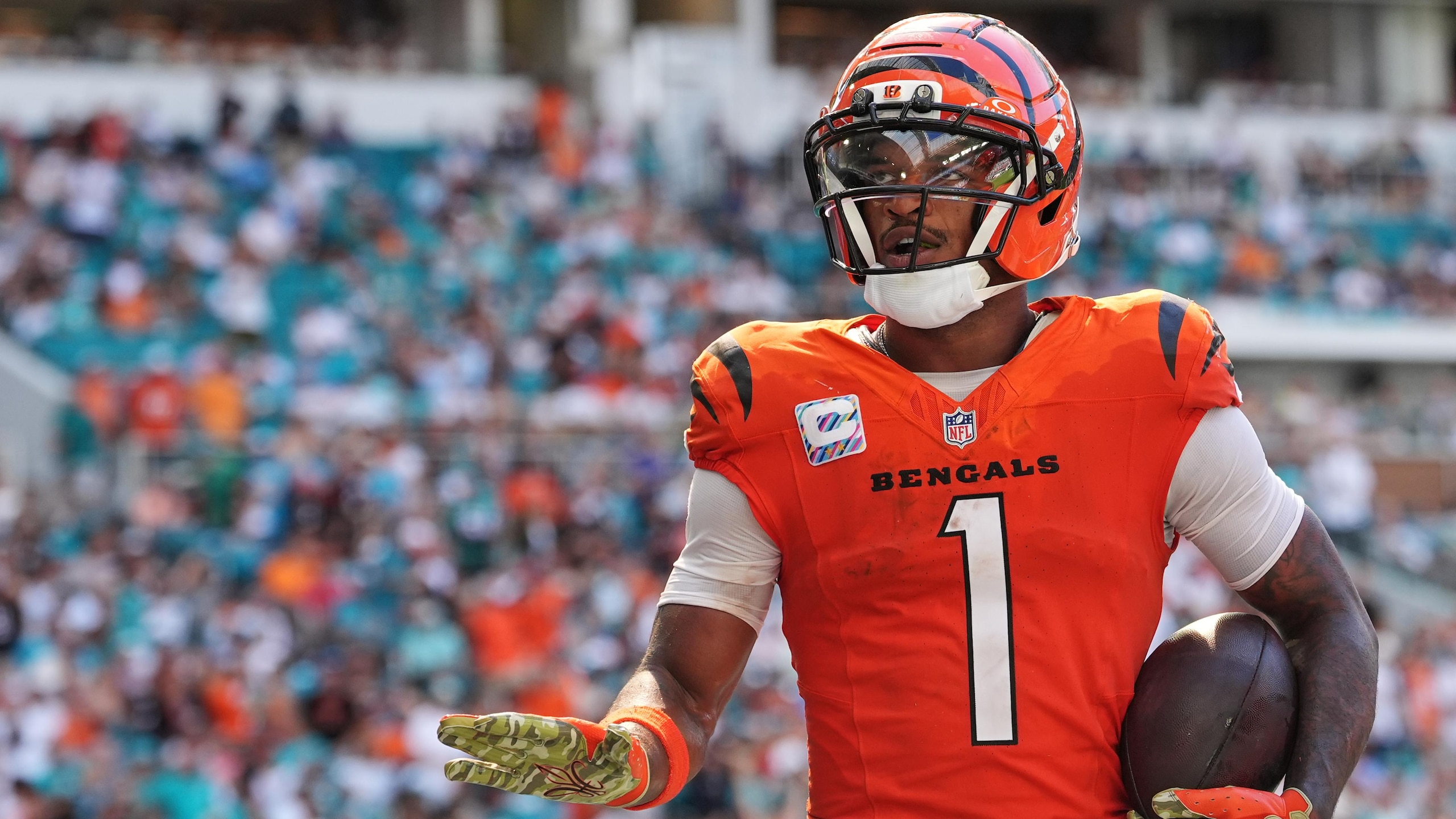 Bengals Dolphins Football