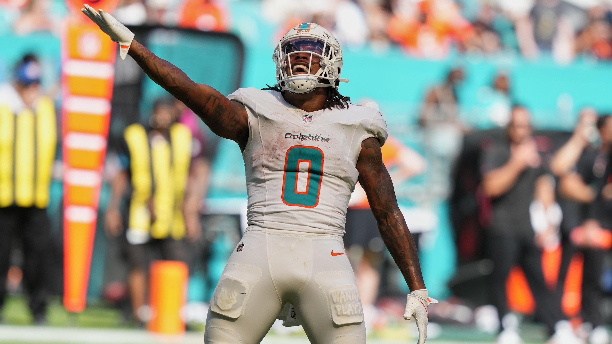 Bengals Dolphins Football