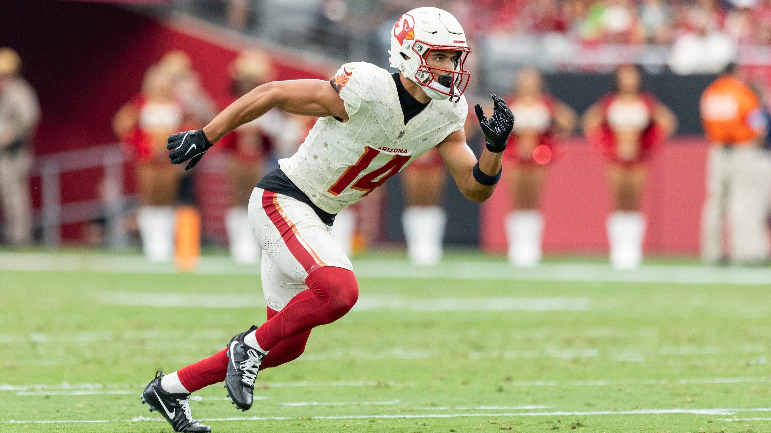 Seahawks Cardinals Football