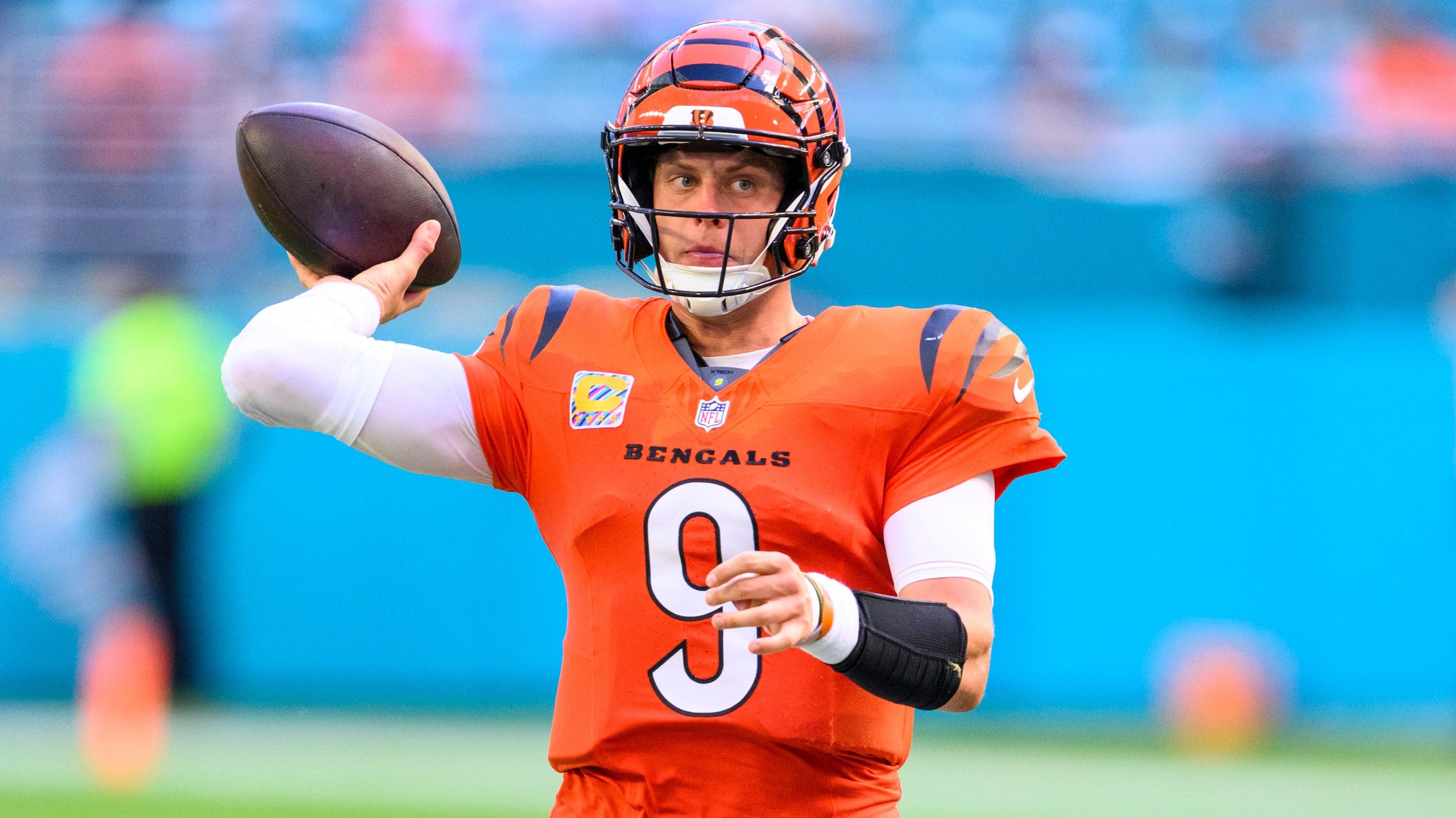 Bengals Dolphins Football