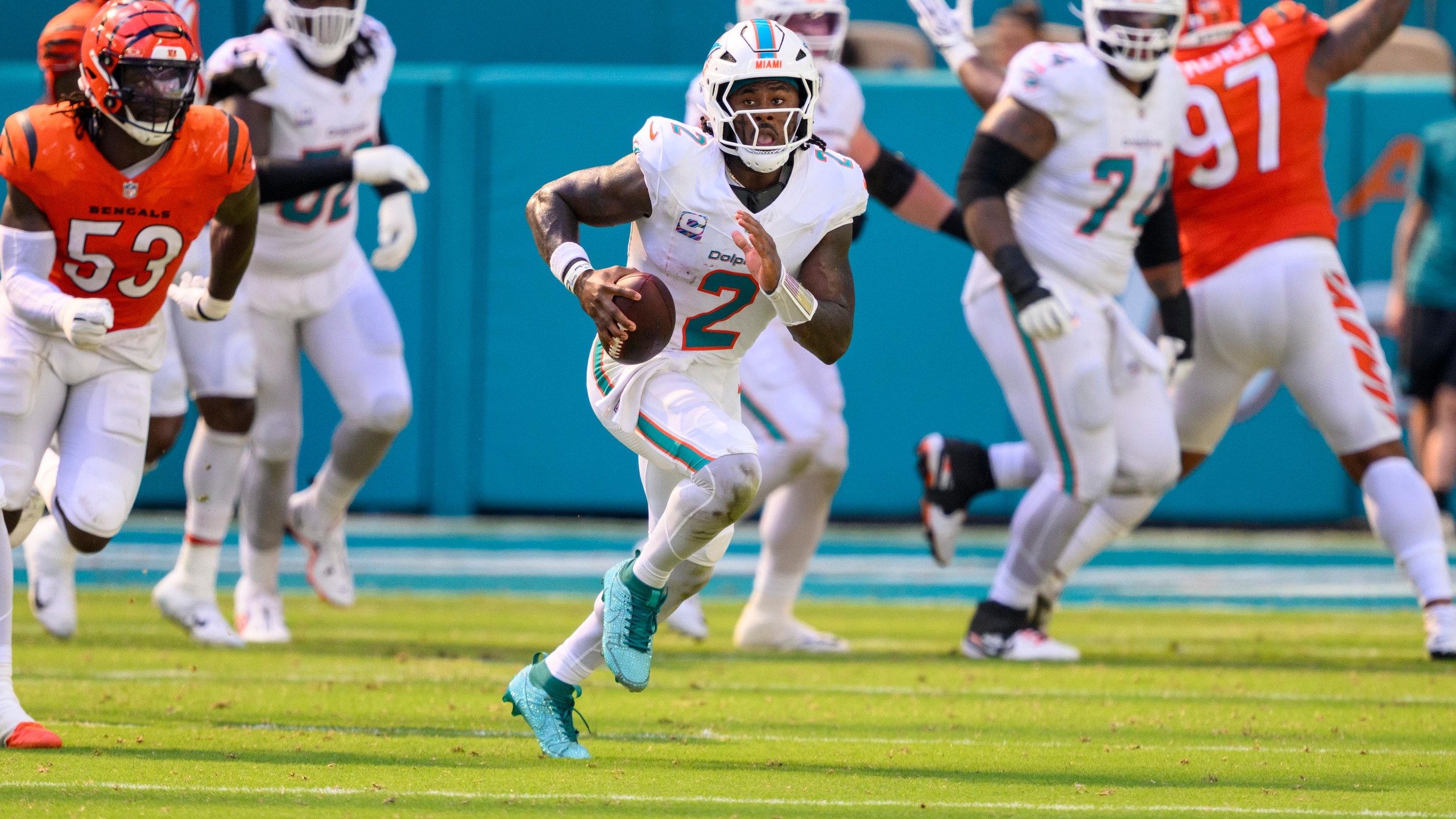 Bengals Dolphins Football
