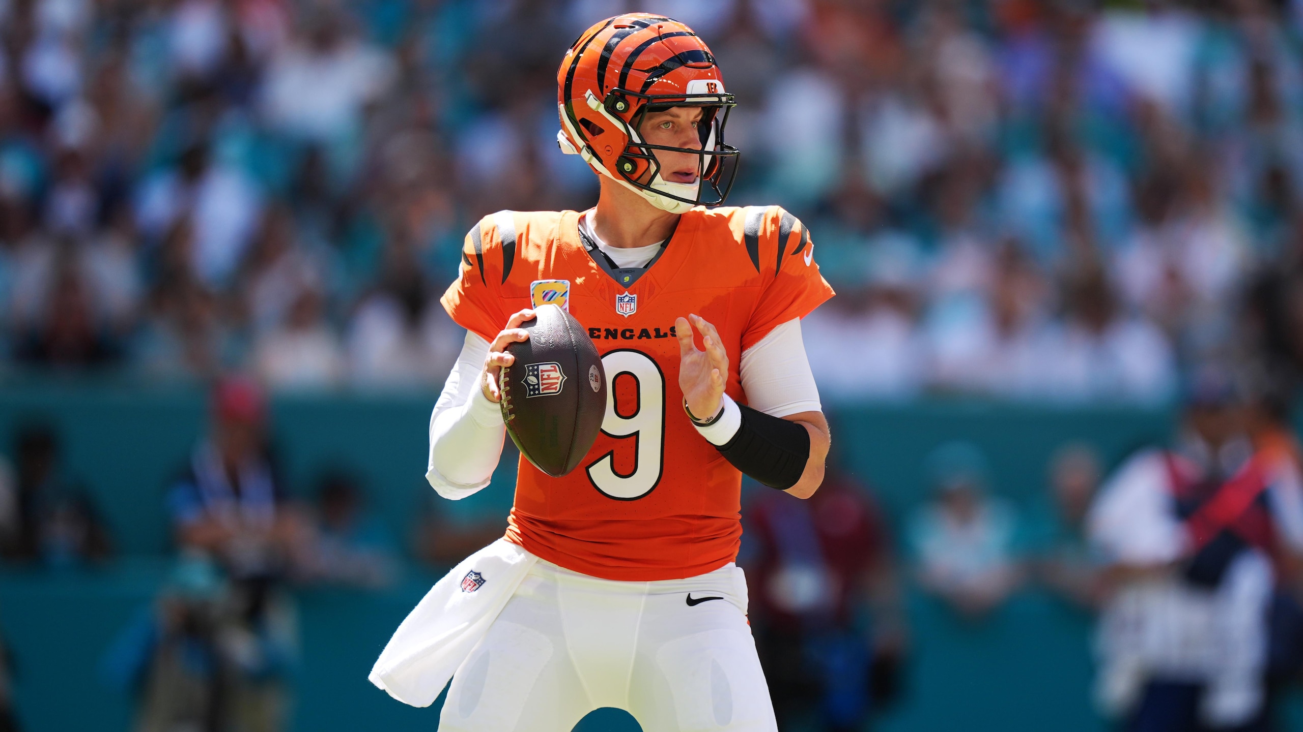Bengals Dolphins Football