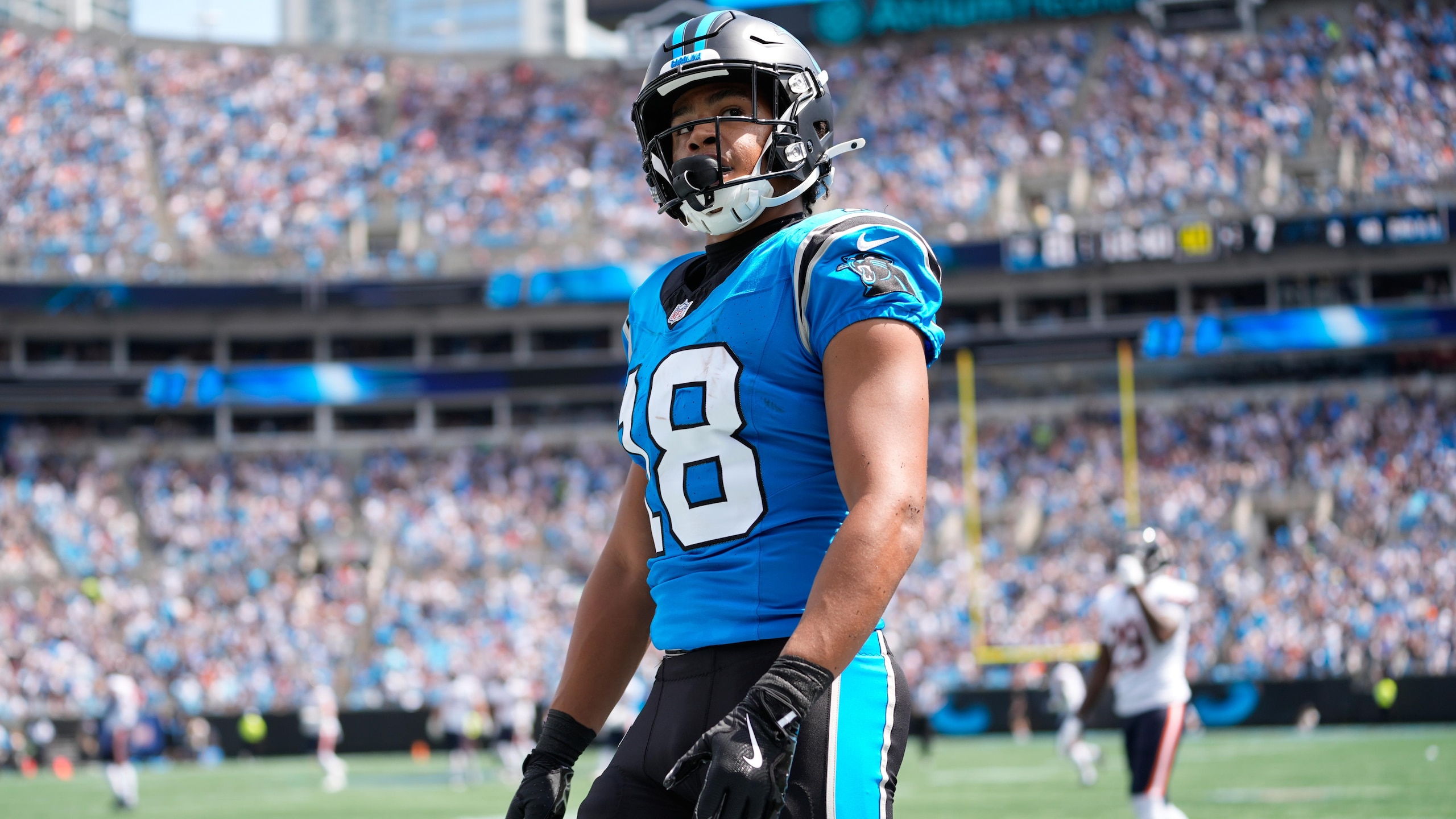 Bears Panthers Football