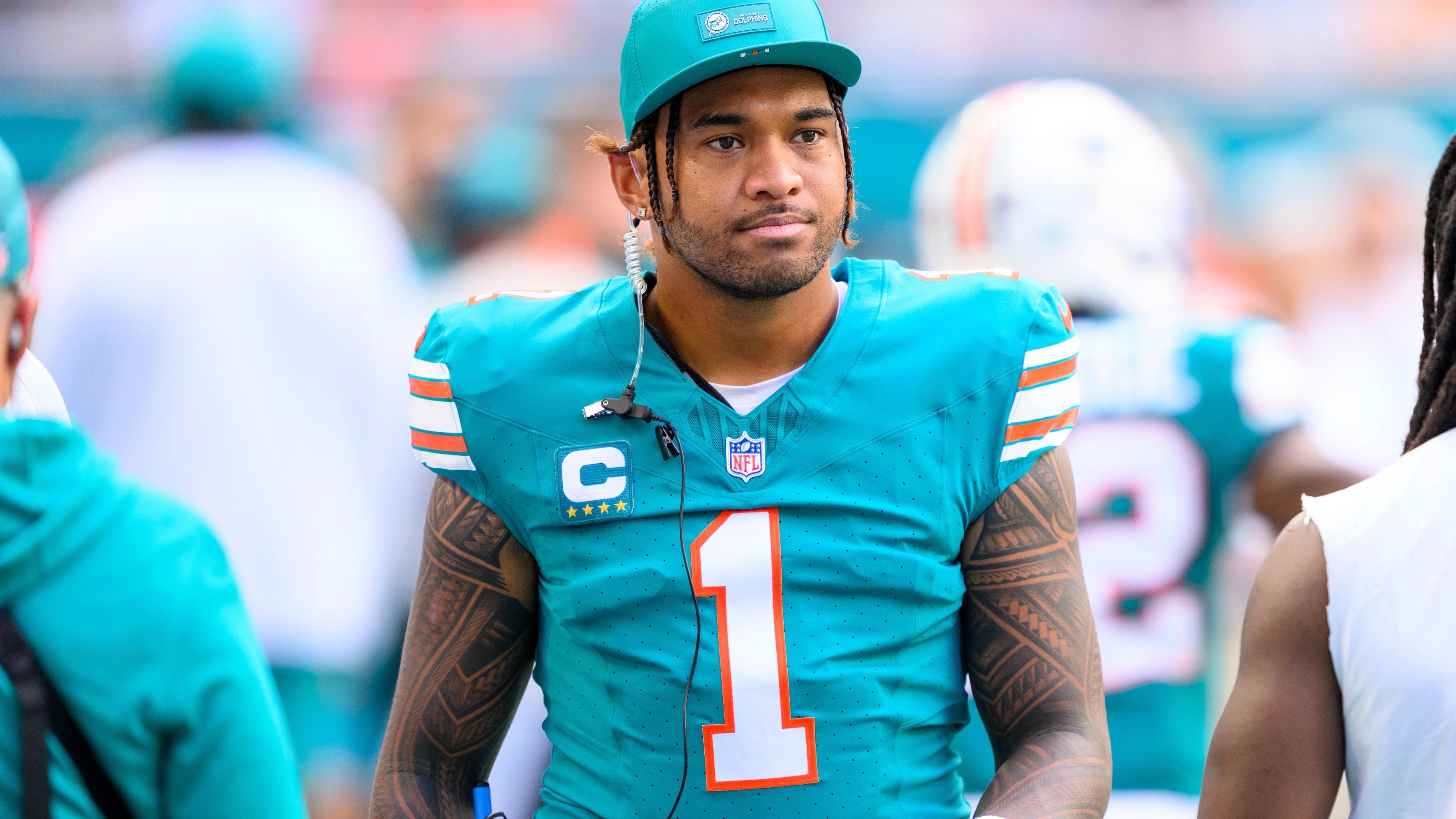 Bengals Dolphins Football