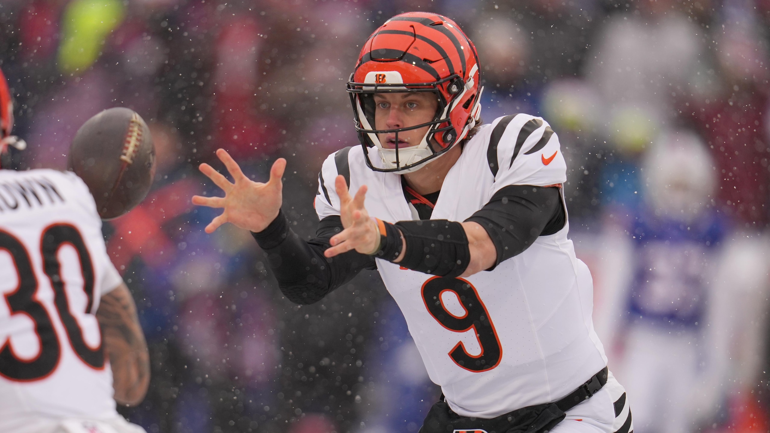 Bengals Bills Football
