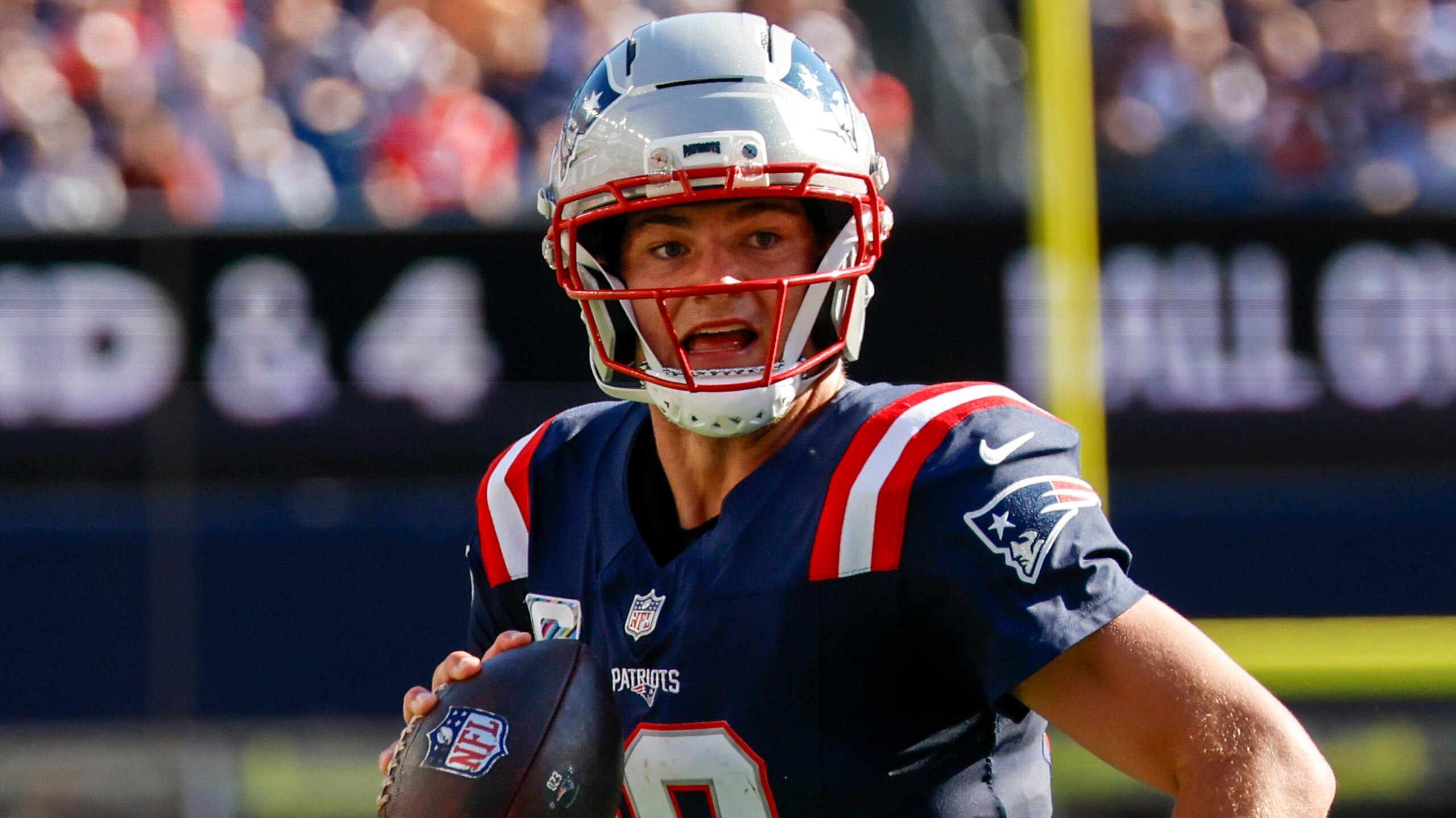 Panthers Patriots Football