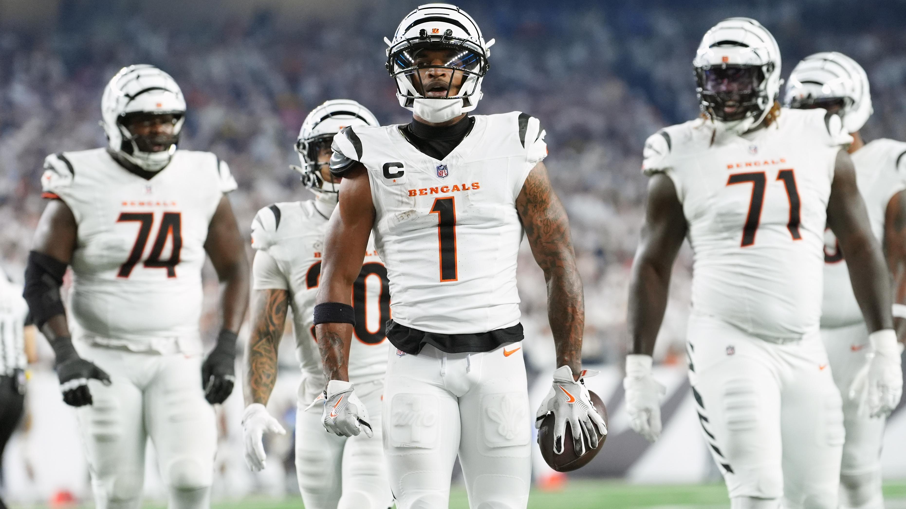 Steelers Bengals Football