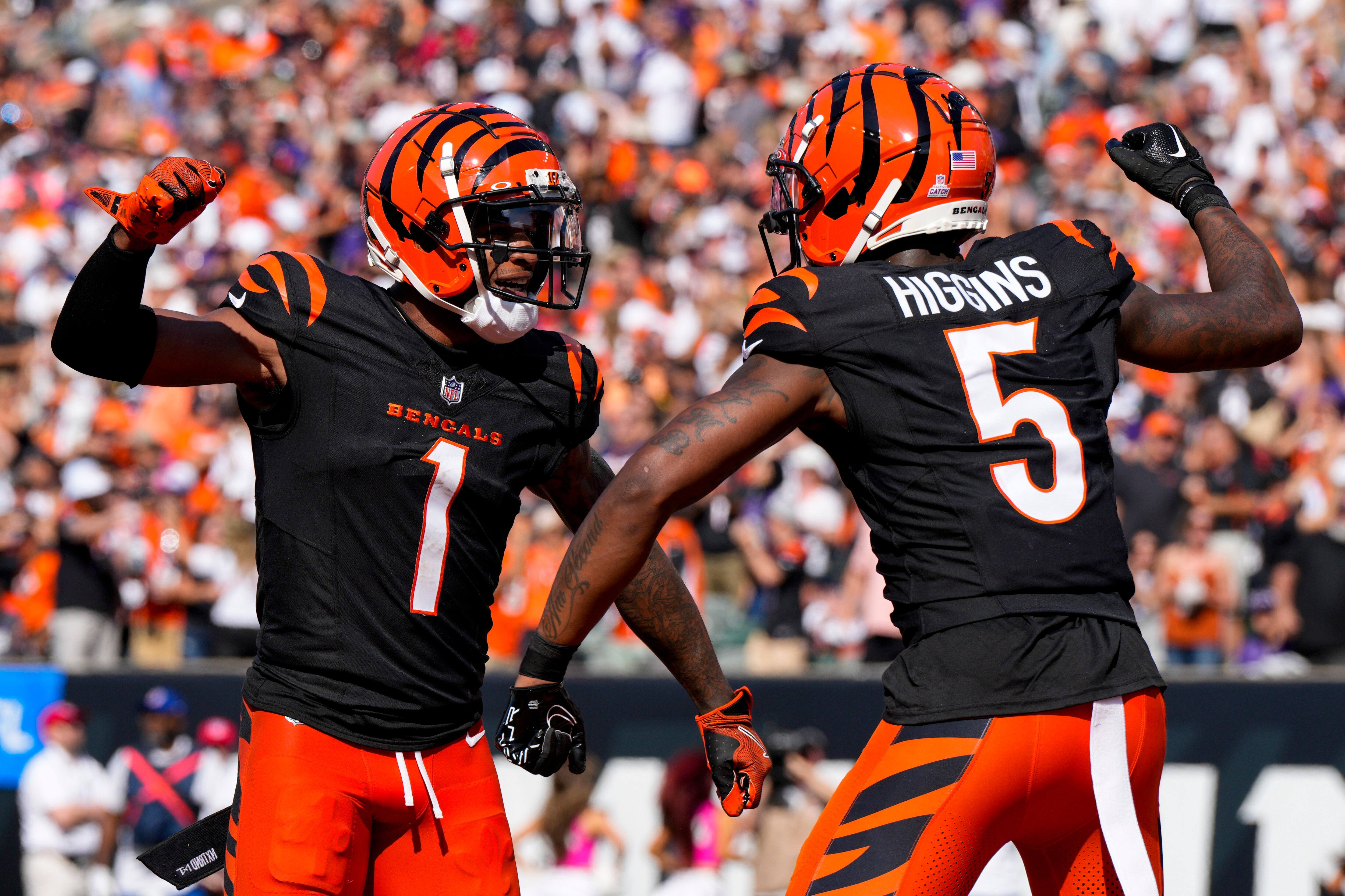 Ravens Bengals Football