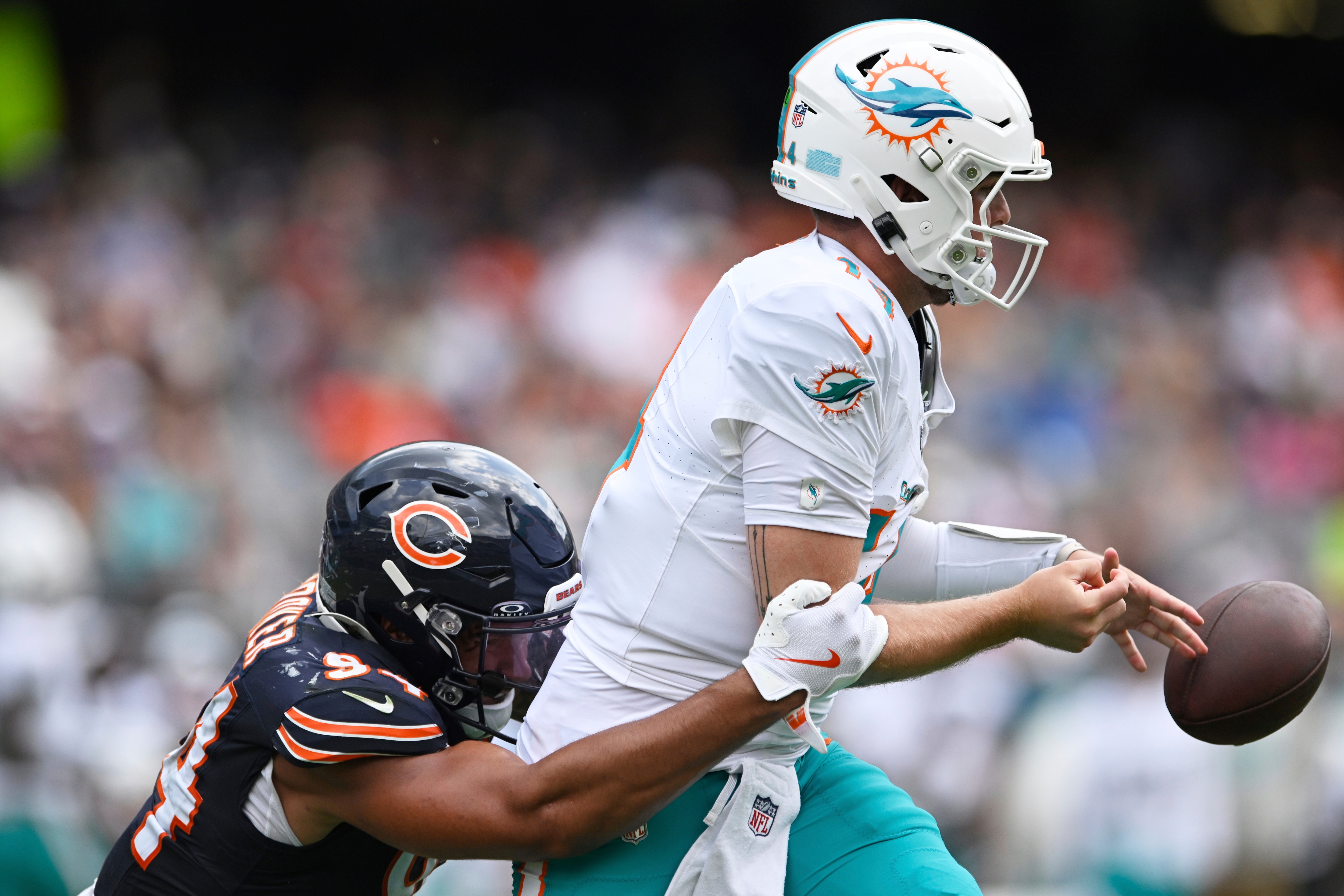 Dolphins Bears Football