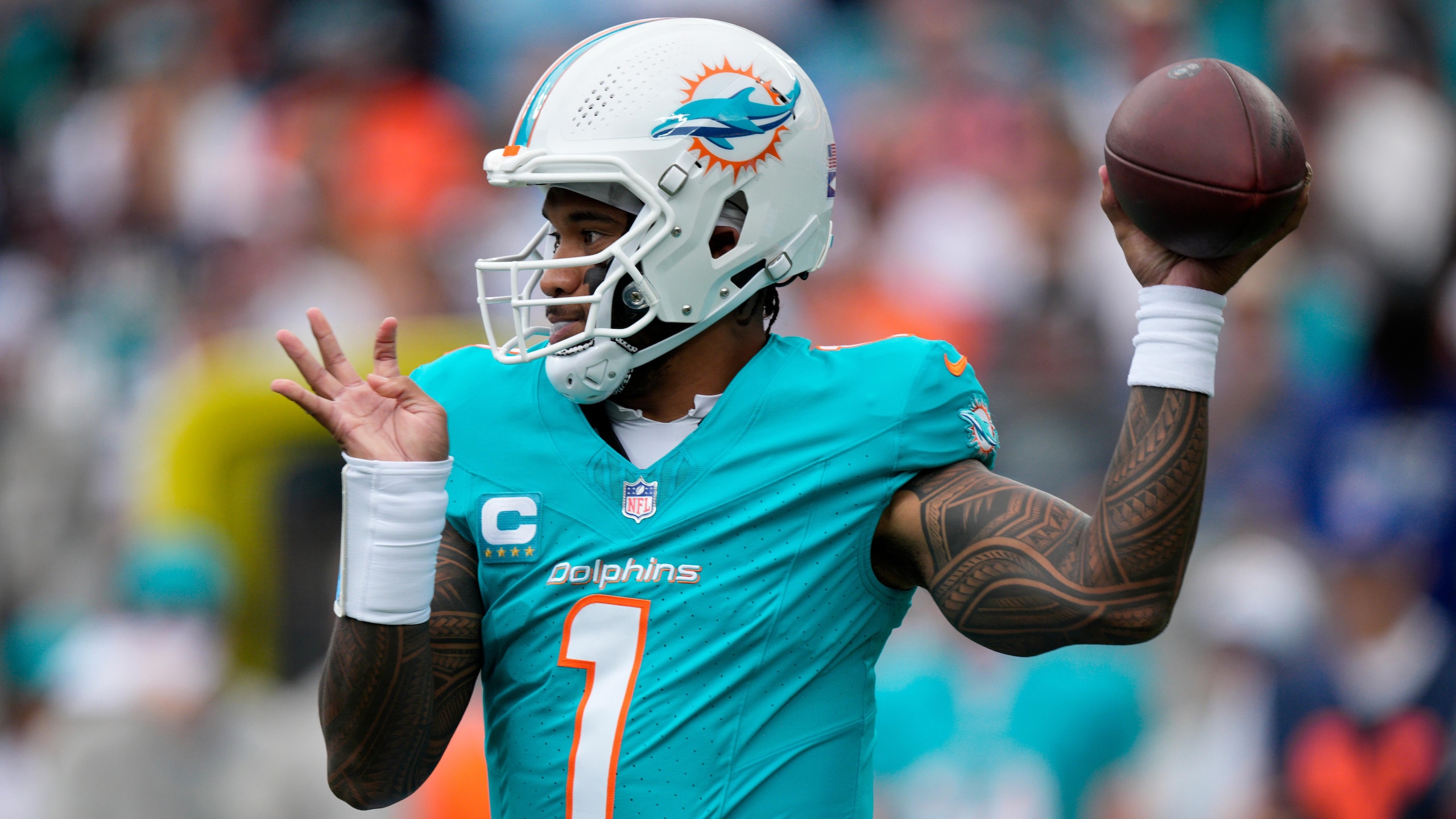 Dolphins Panthers Football