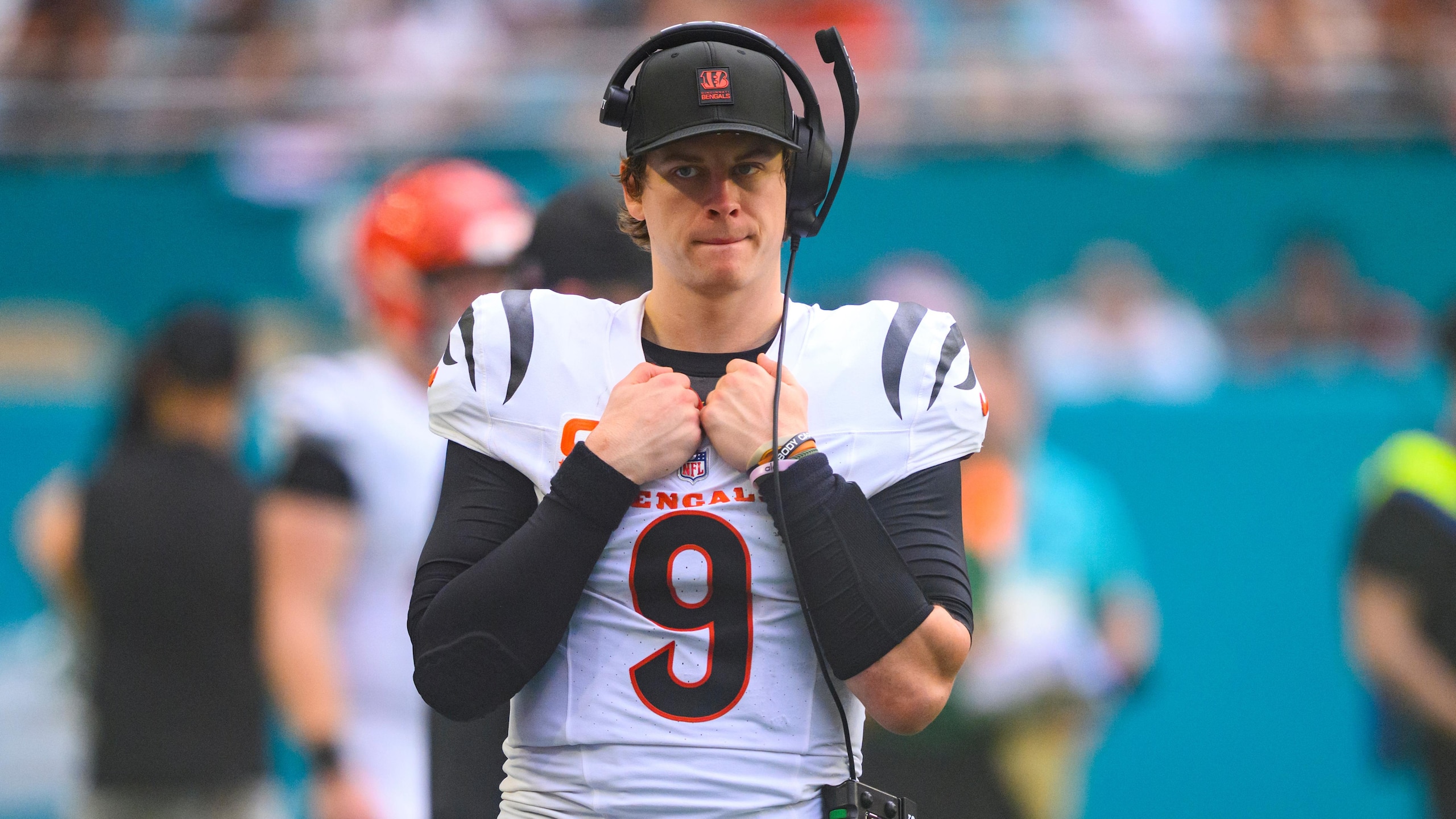 Bengals Dolphins Football