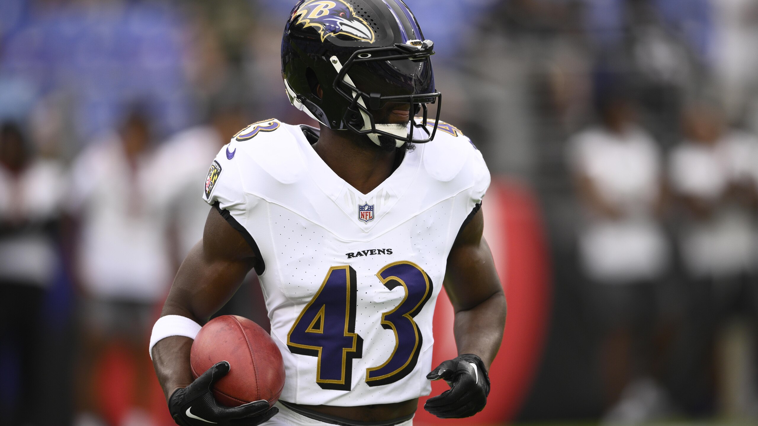 Falcons Ravens Football