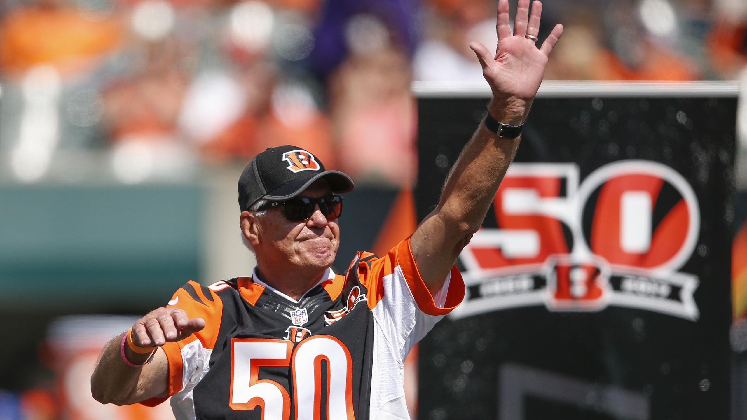 Ravens Bengals Football