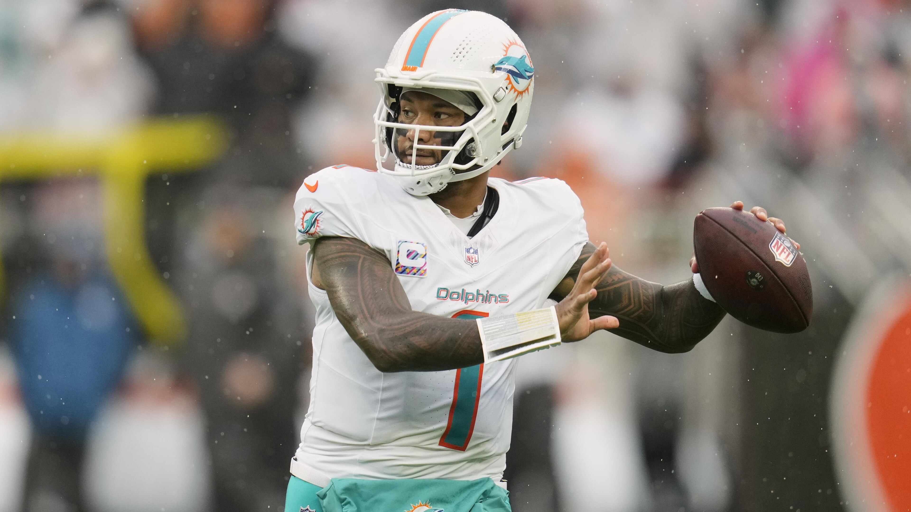Dolphins Football