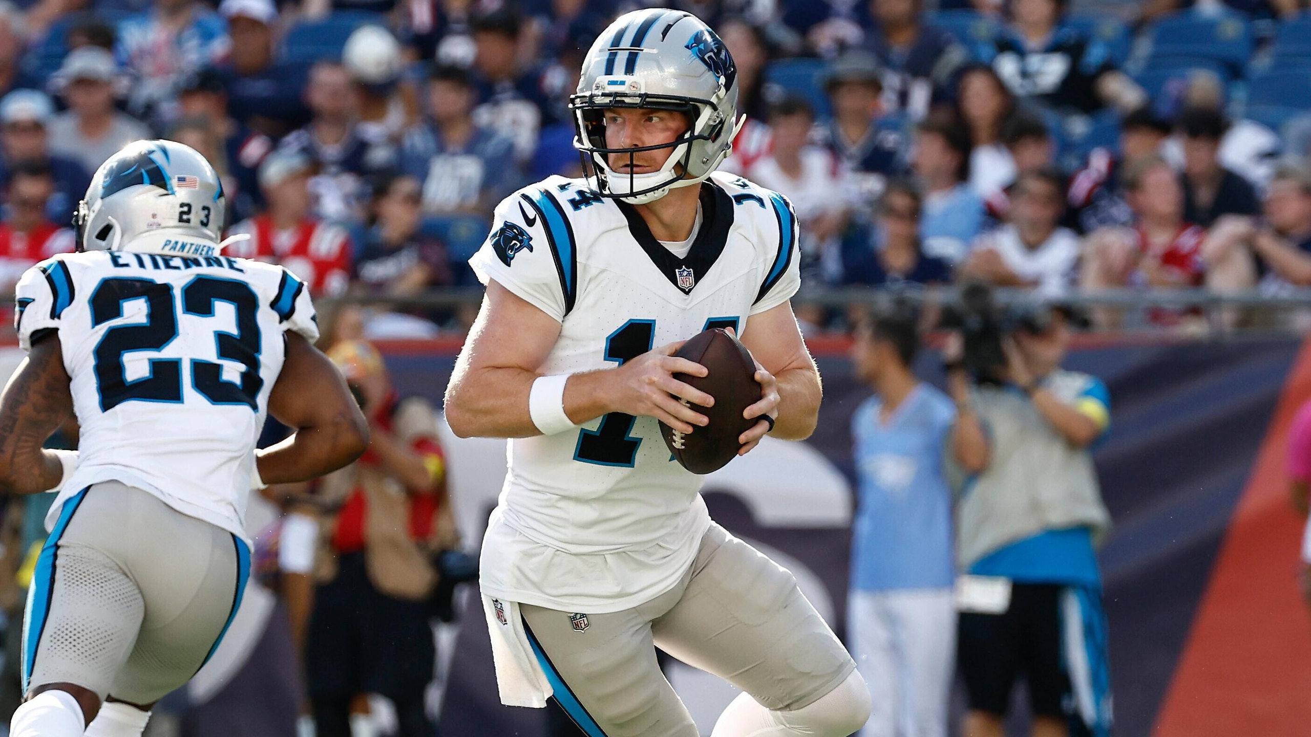 Panthers Patriots Football