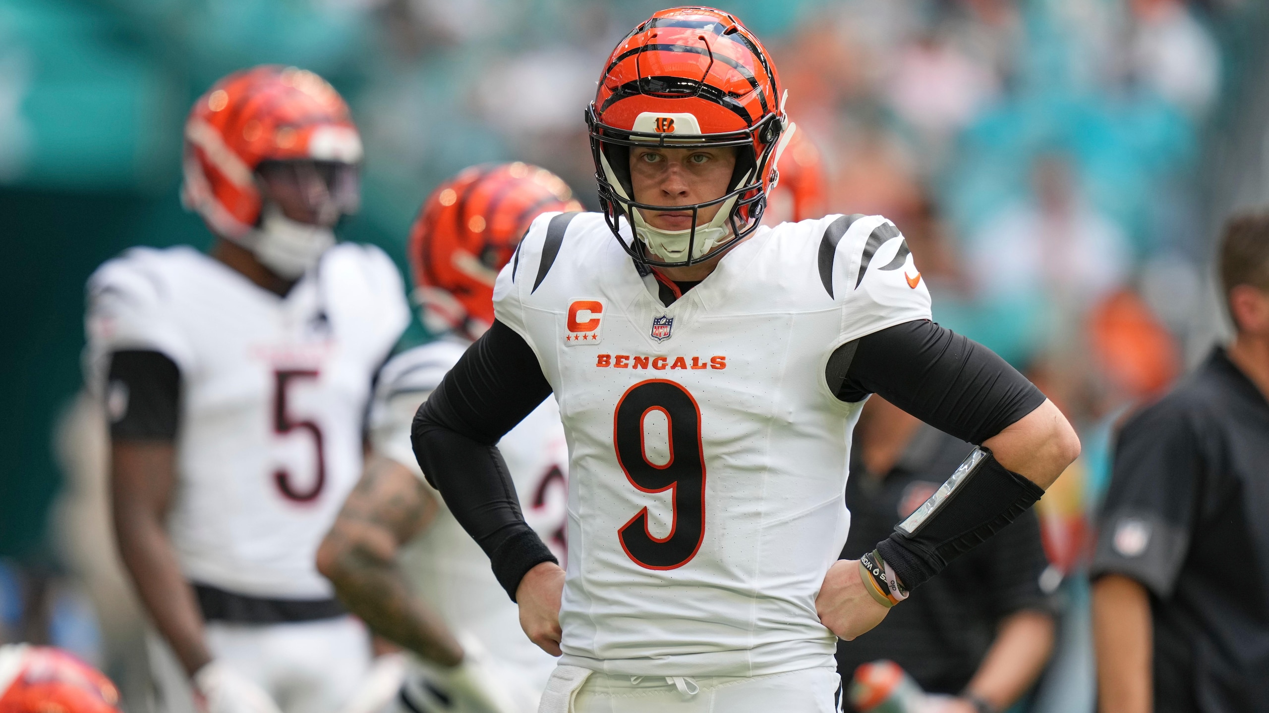 Bengals Dolphins Football