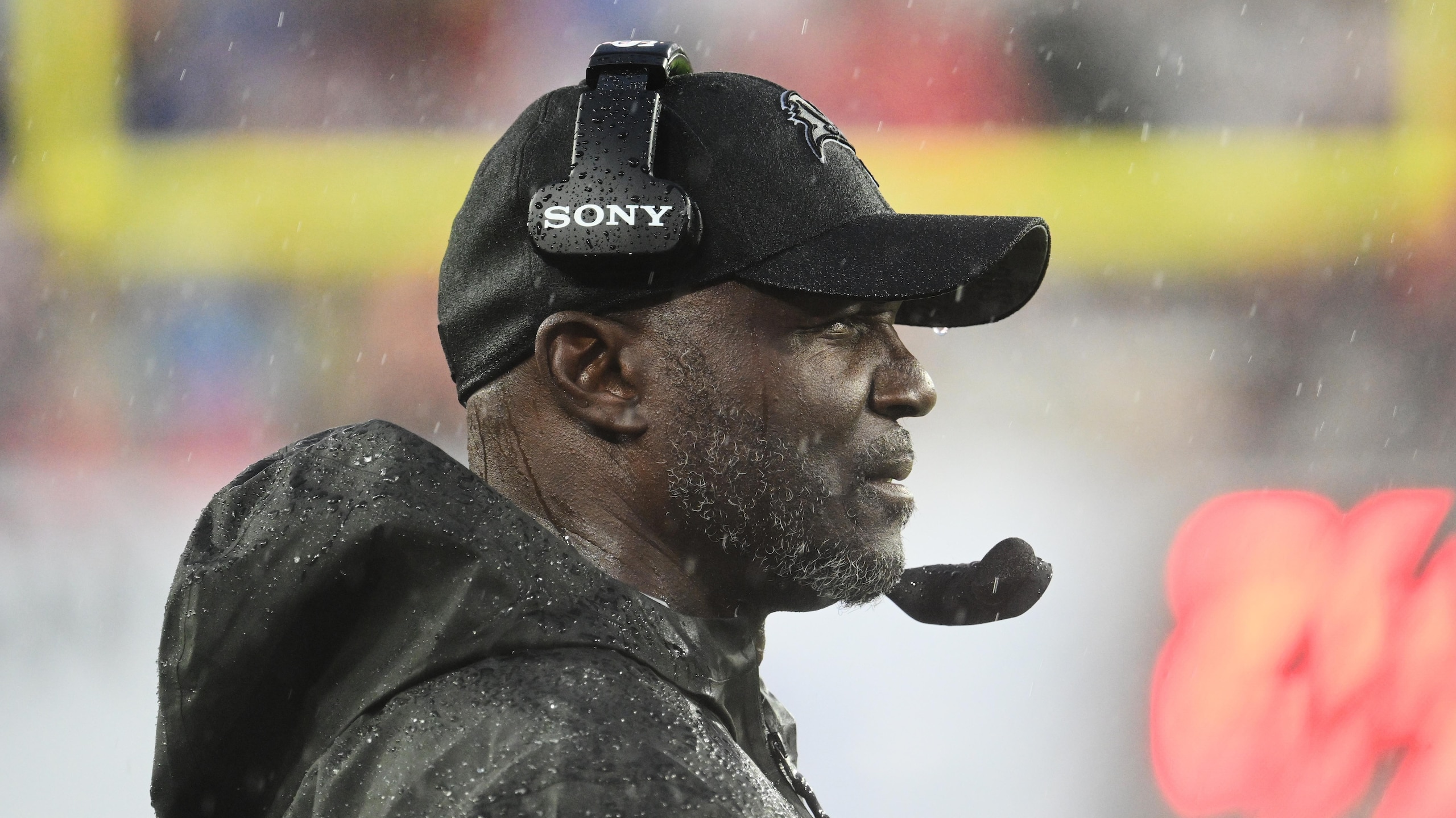 Panthers Buccaneers Football