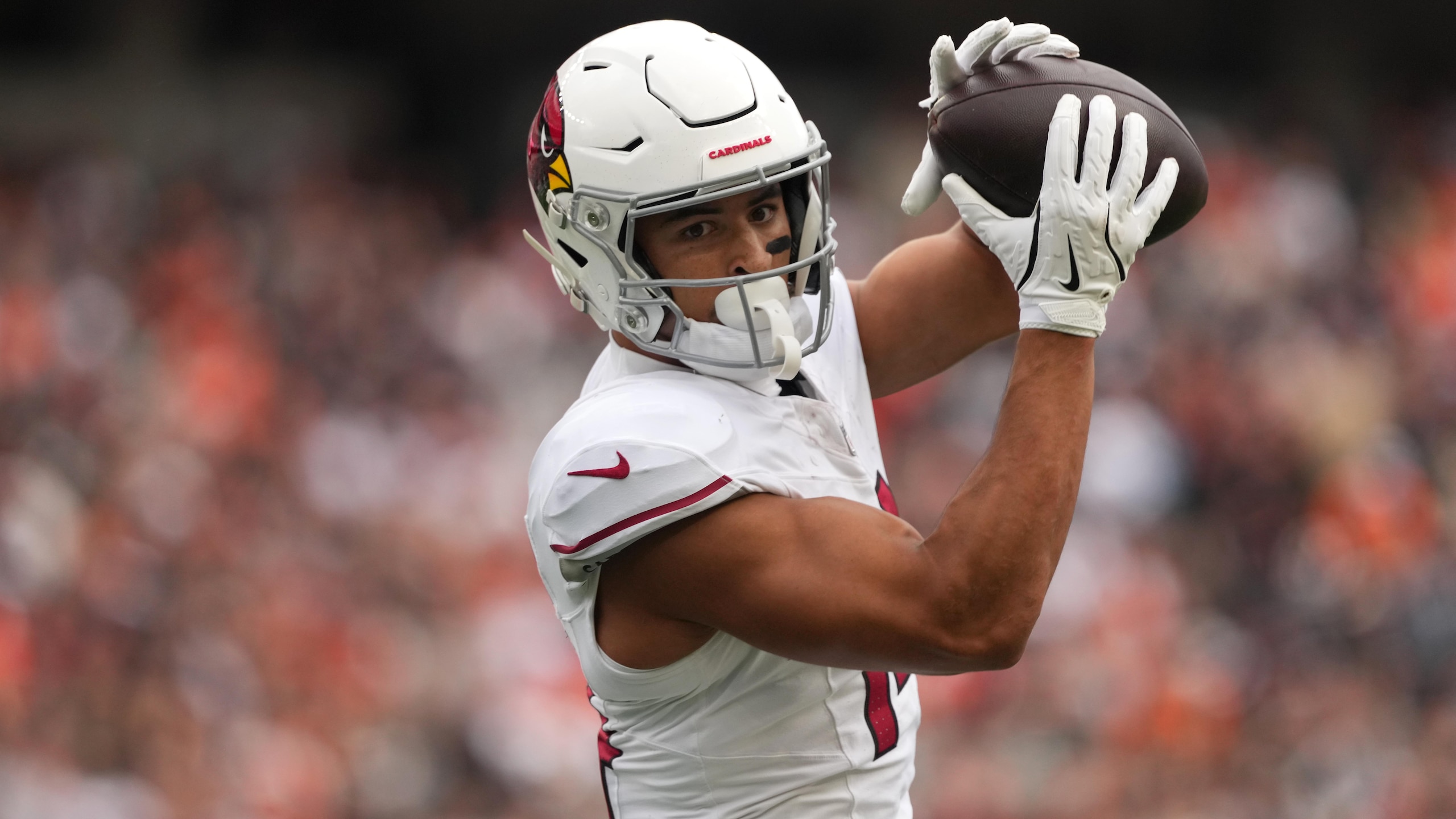 Cardinals Bengals Football