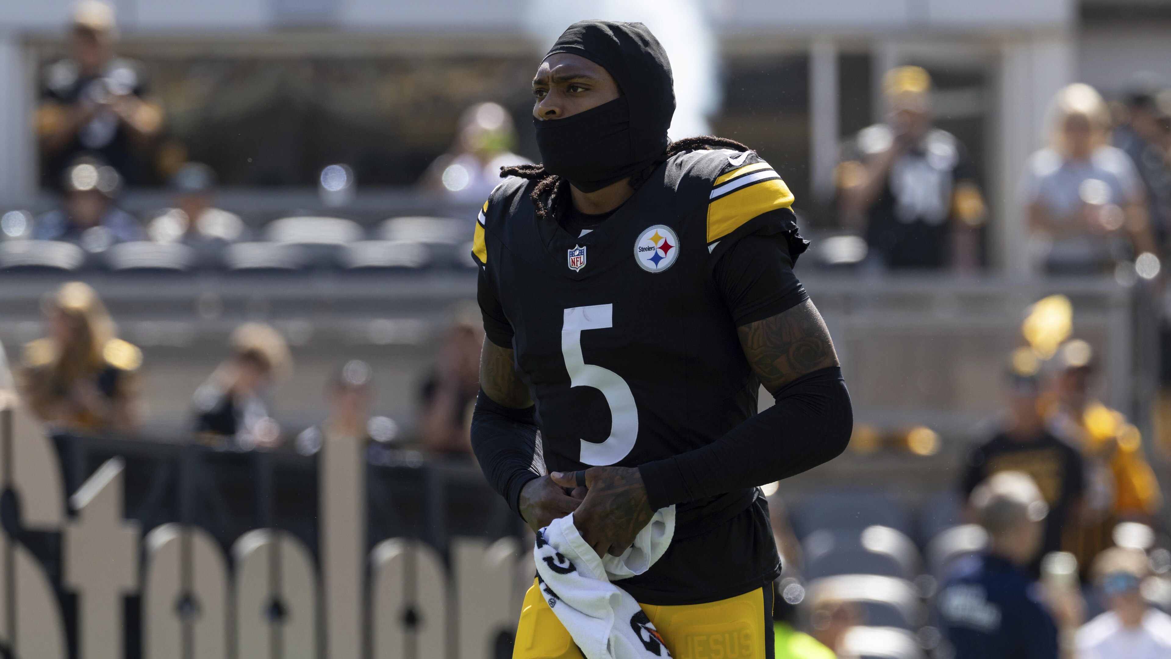 Seahawks Steelers Football