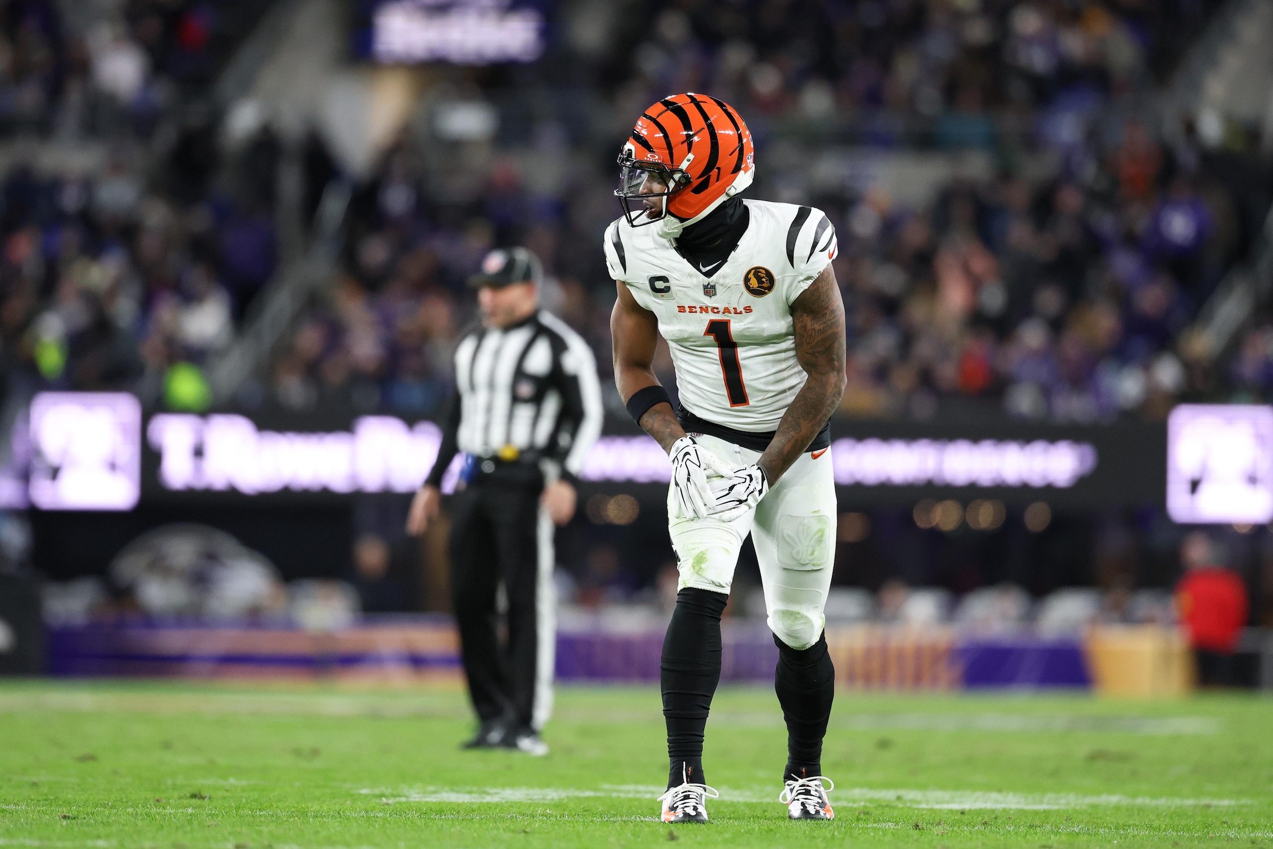 Bengals Ravens Football