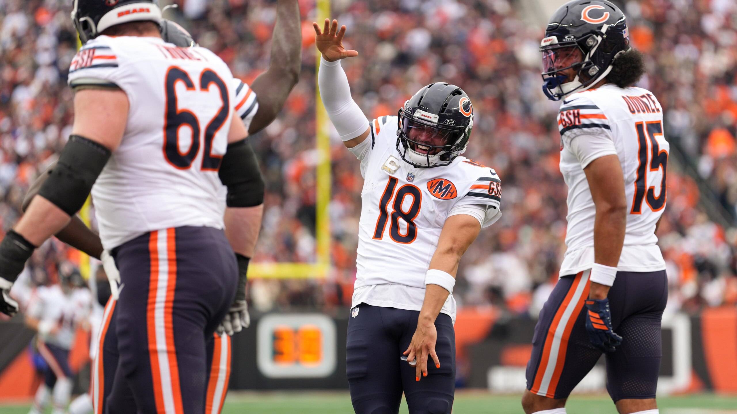 Bears Bengals Football