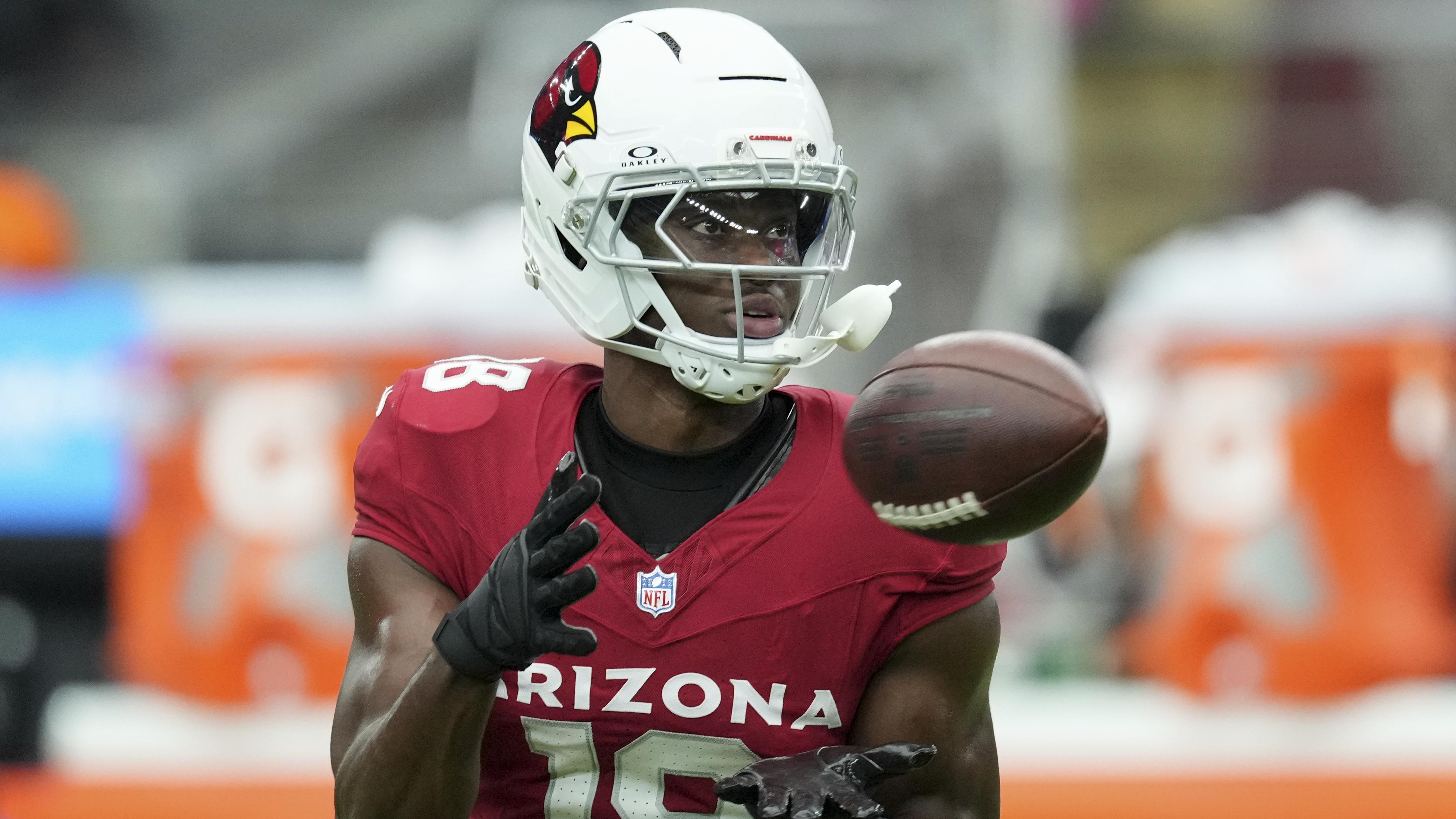 Panthers Cardinals Football