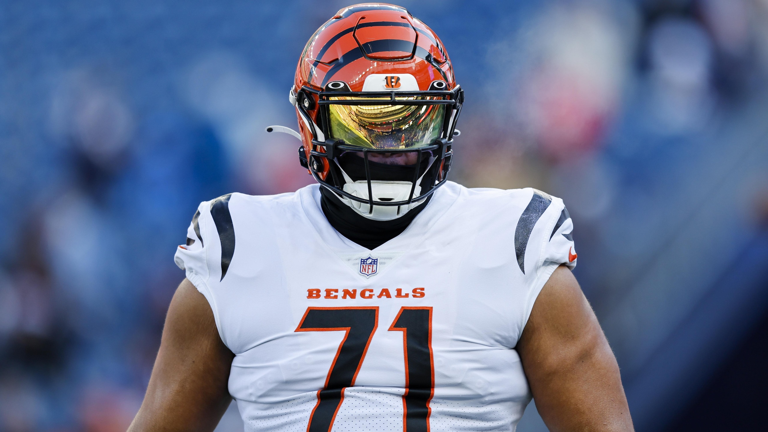 Bengals Patriots Football