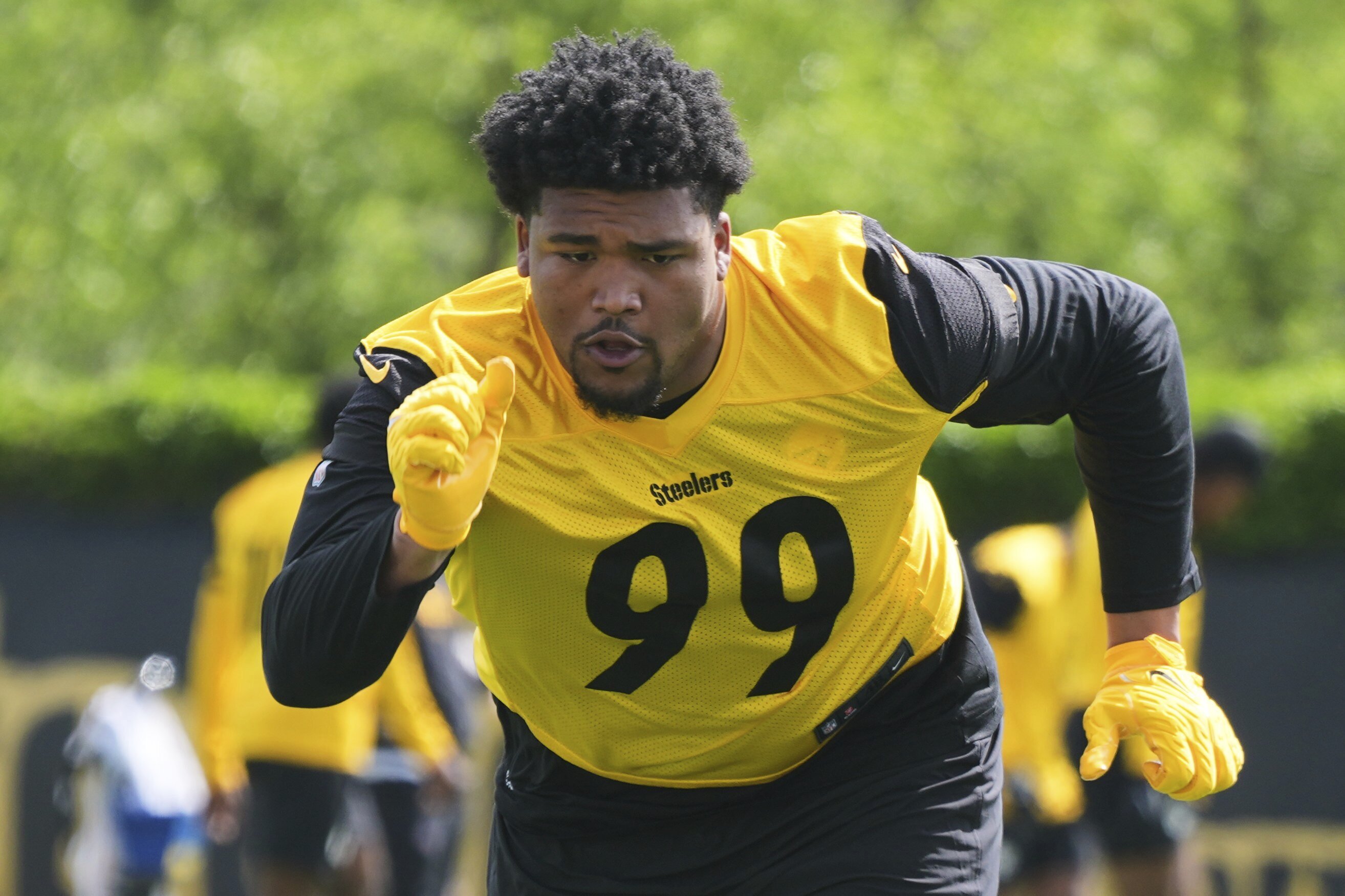 Steelers Rookies Football