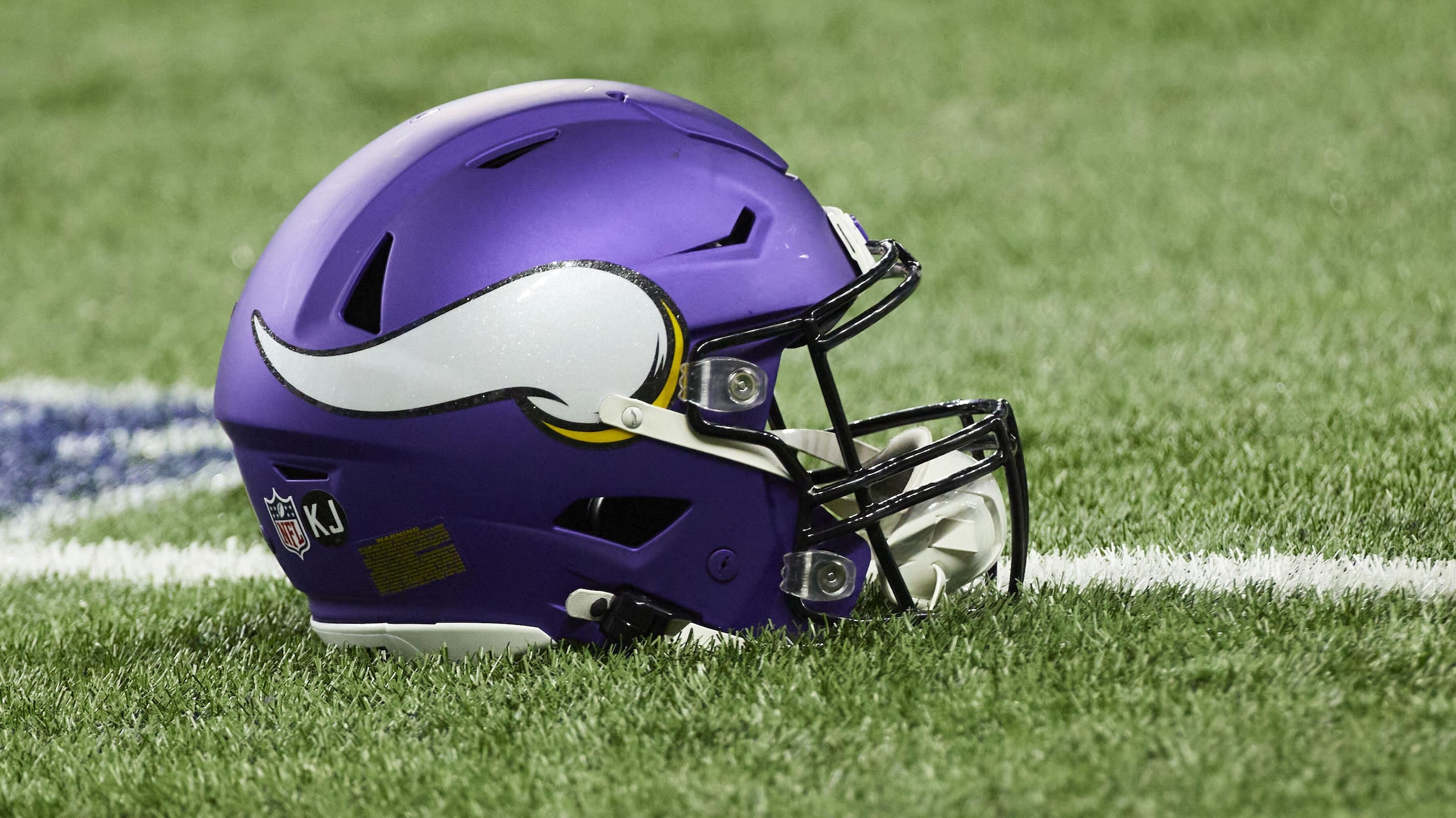 Vikings Lions Football