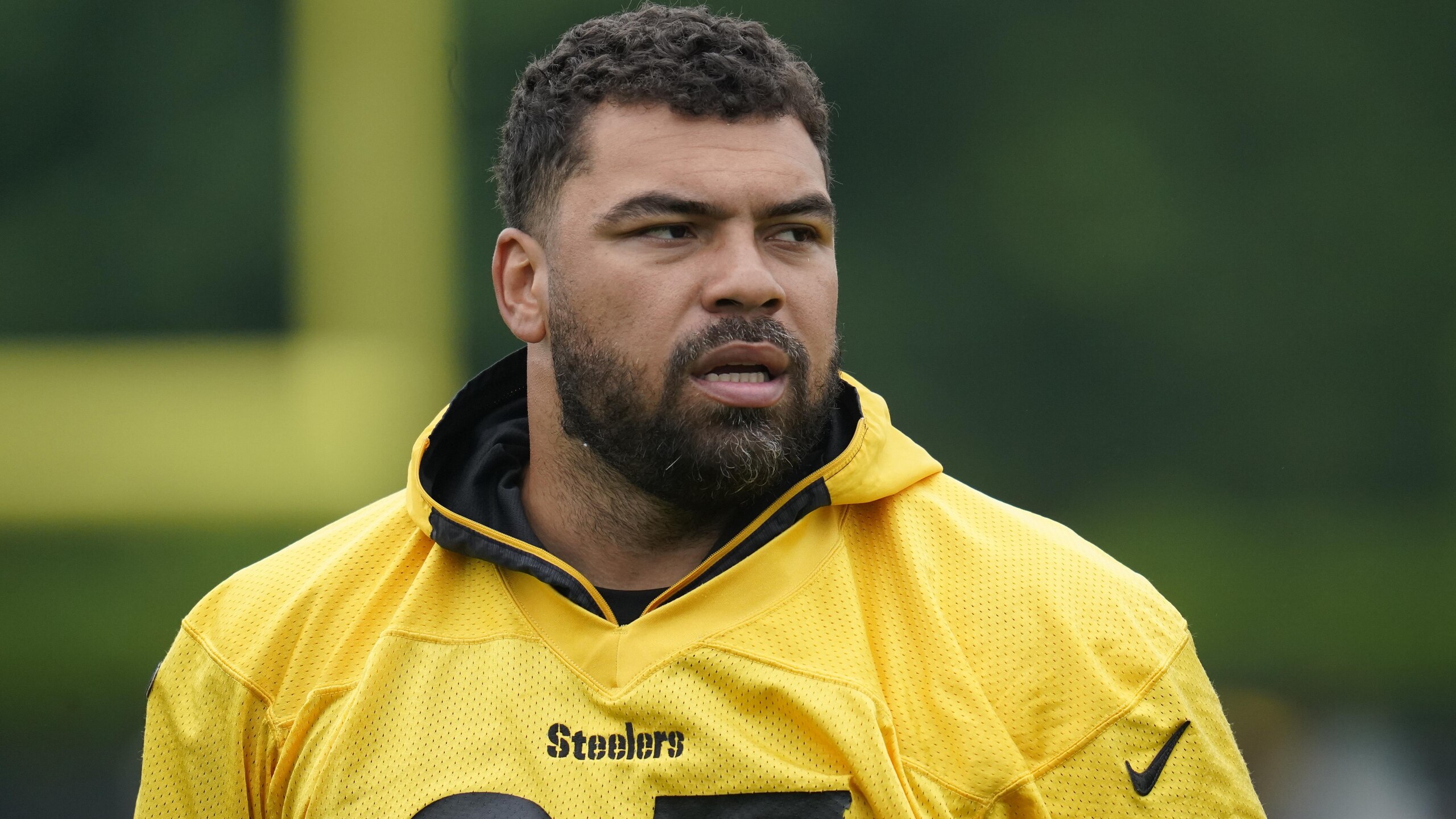 Steelers Heyward Football