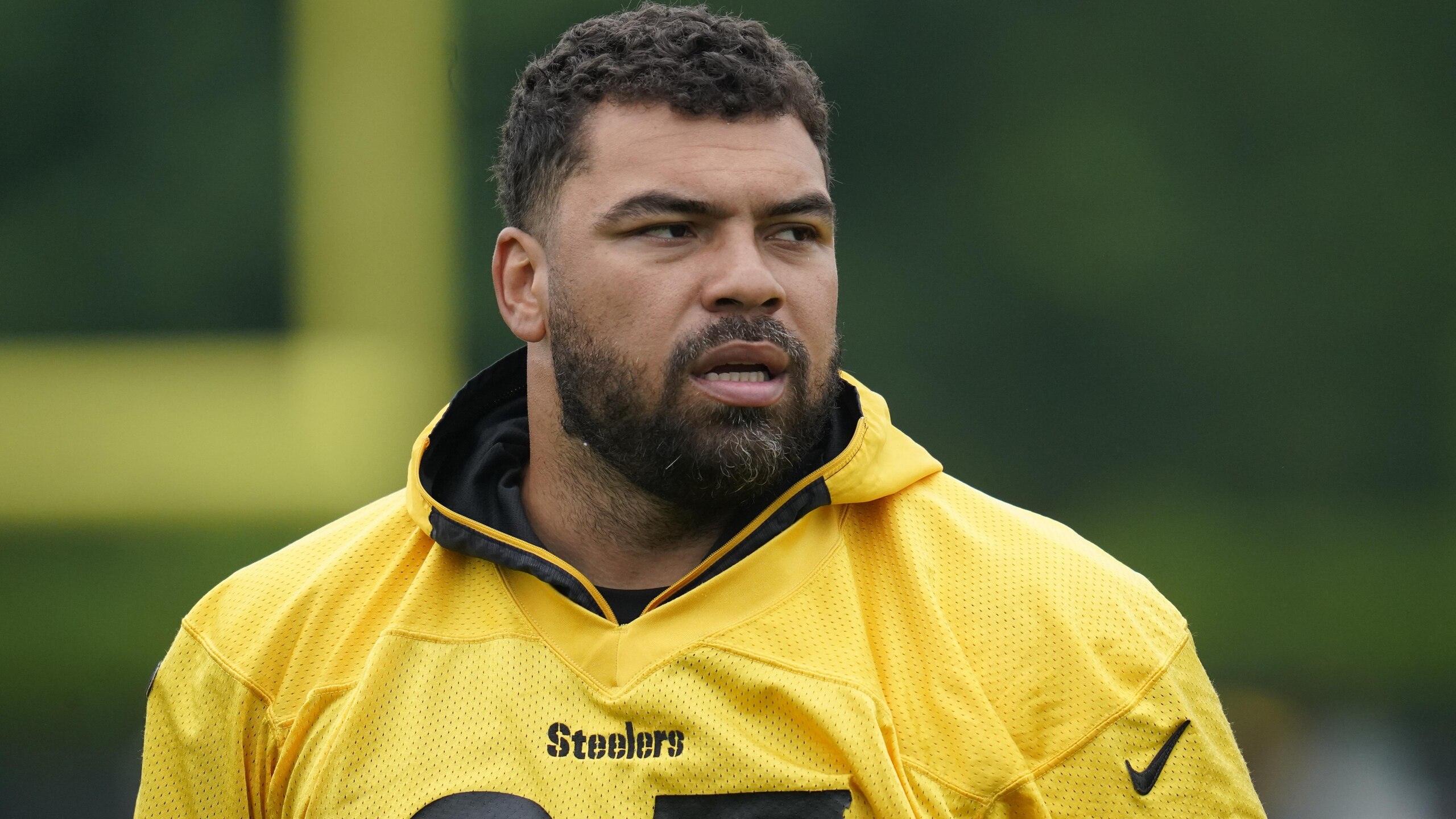 Steelers Heyward Football
