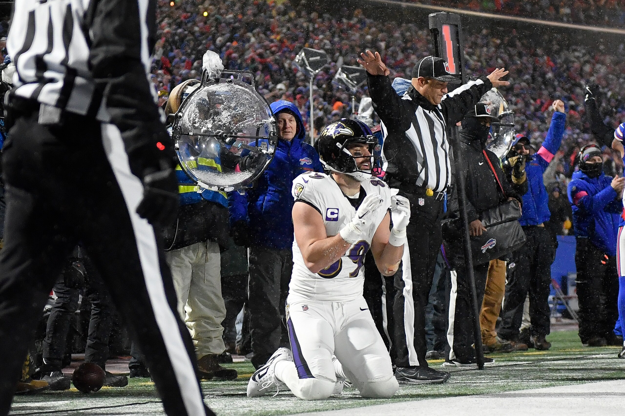 Ravens Bills Football