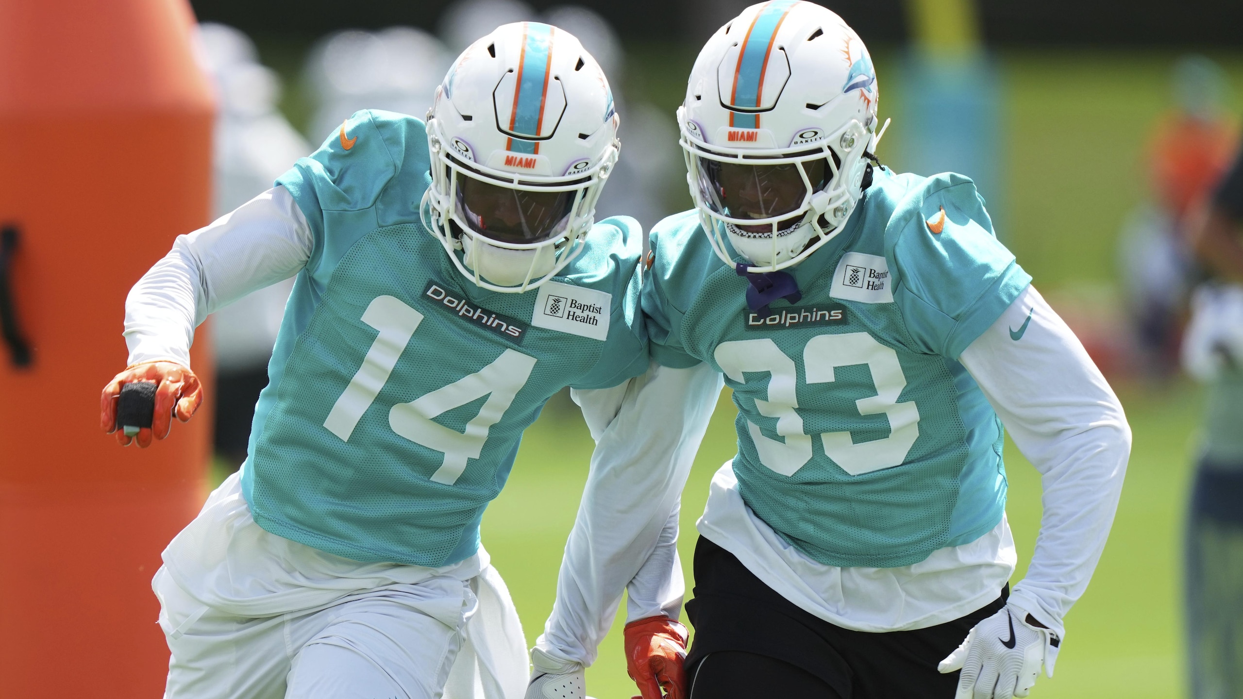 Dolphins Football