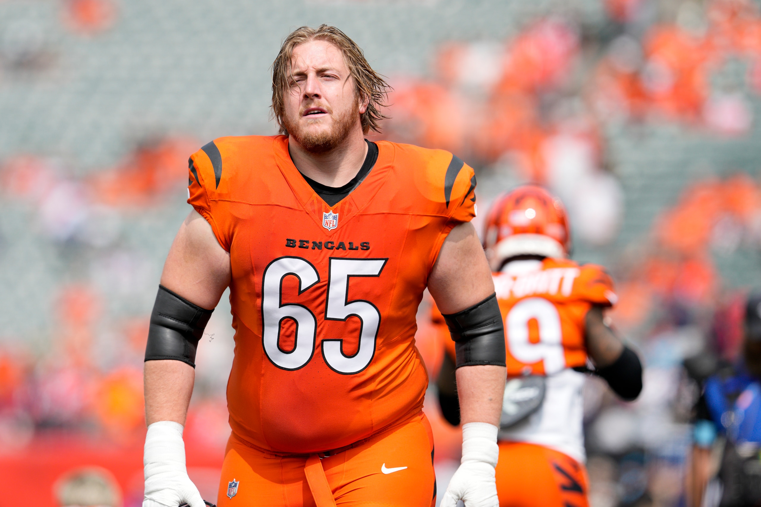 Patriots Bengals Football Patriots Bengals Football