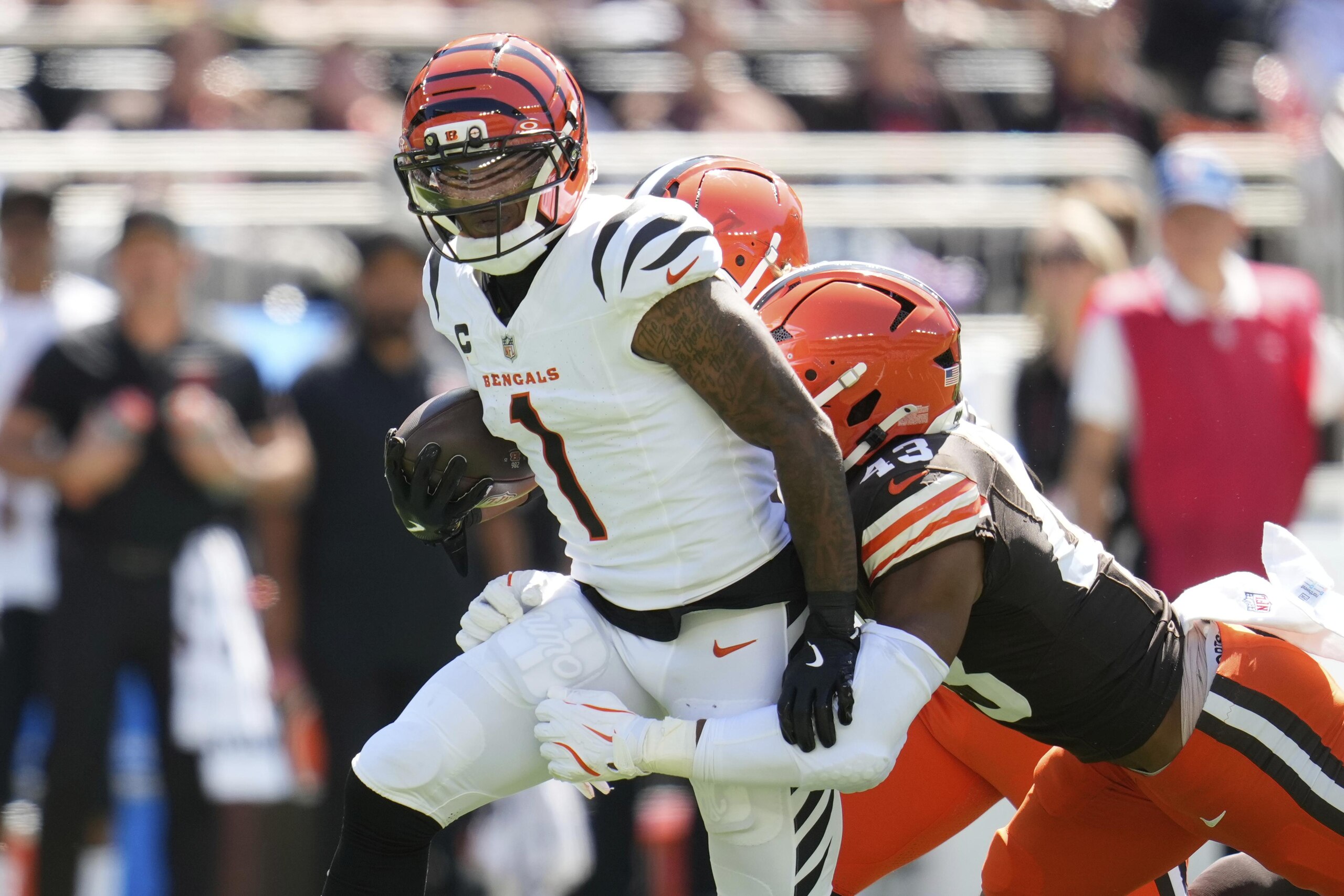 Bengals Browns Football