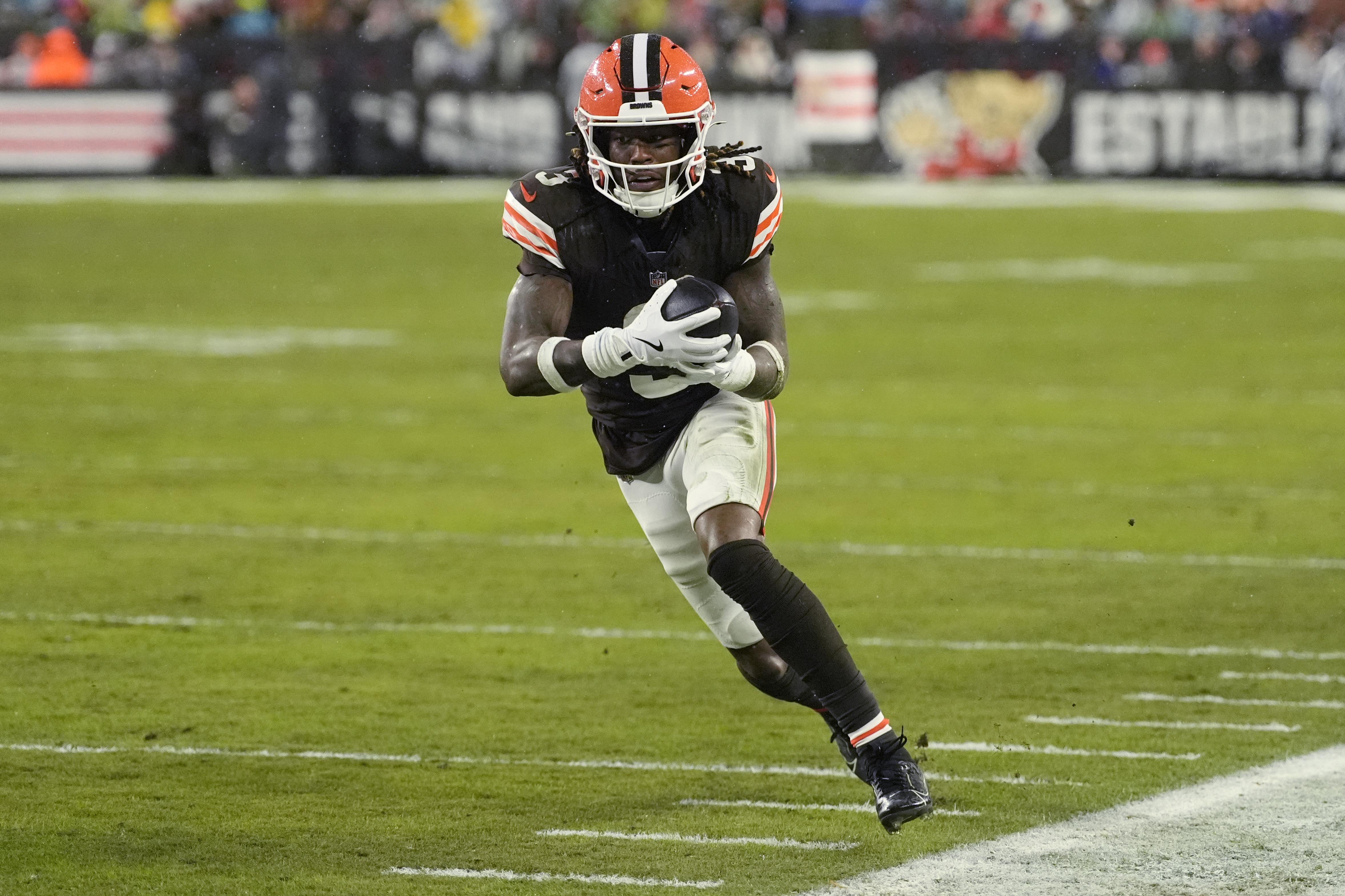 Dolphins Browns Football