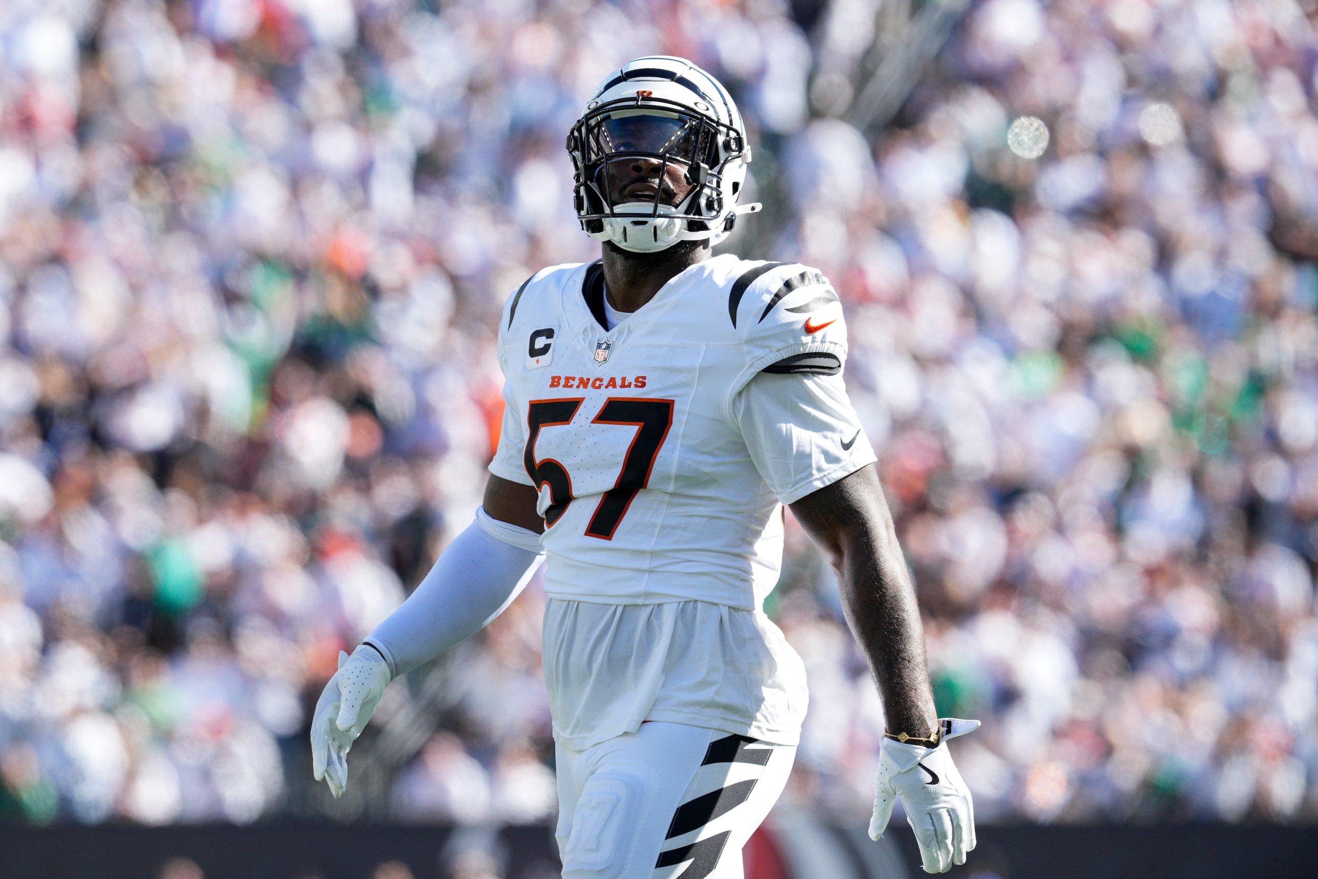 Eagles Bengals Football