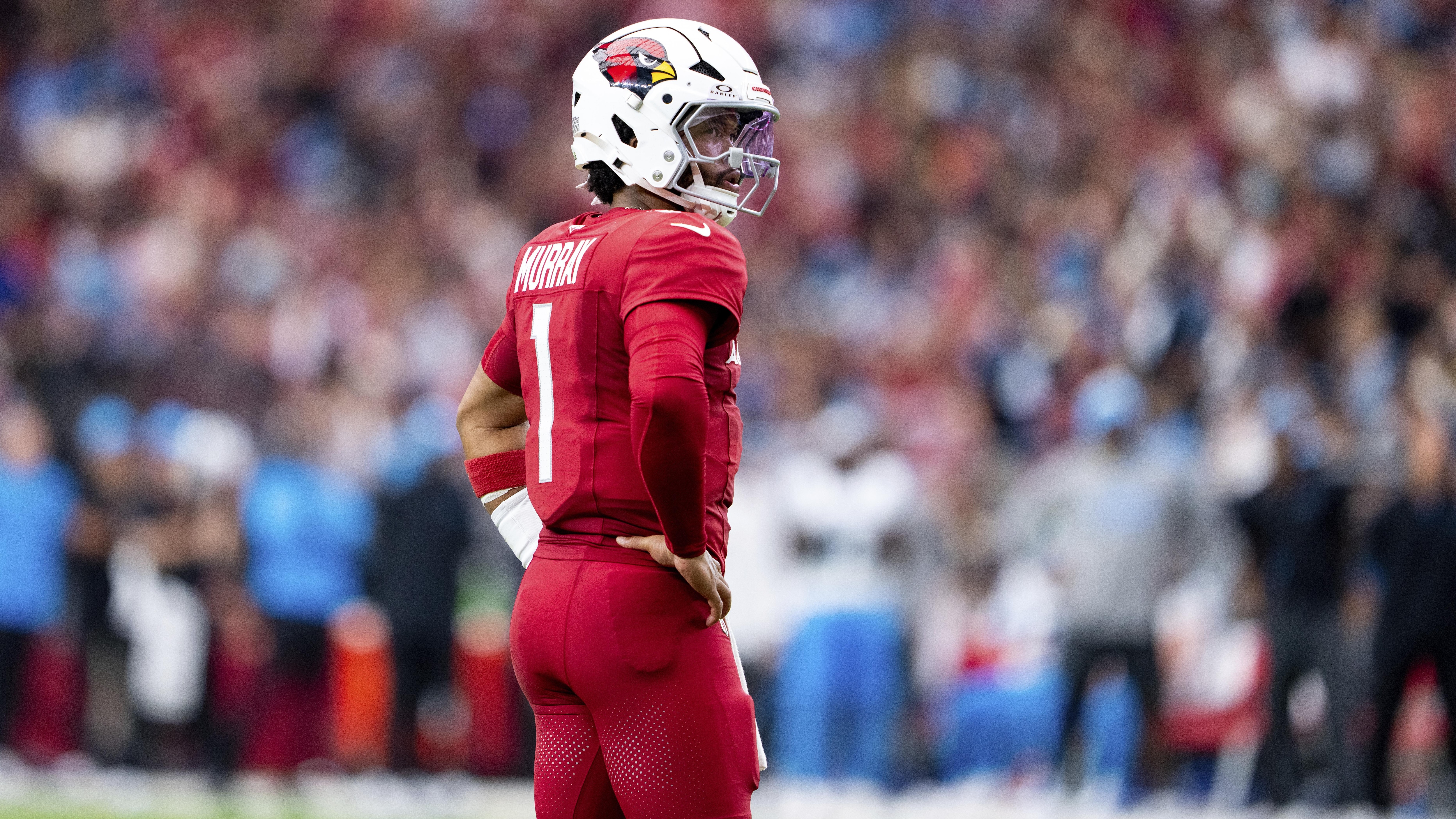 Panthers Cardinals Football