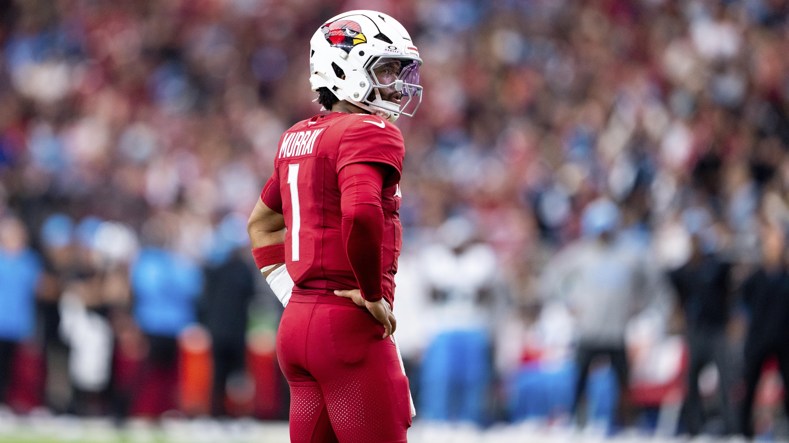 Panthers Cardinals Football