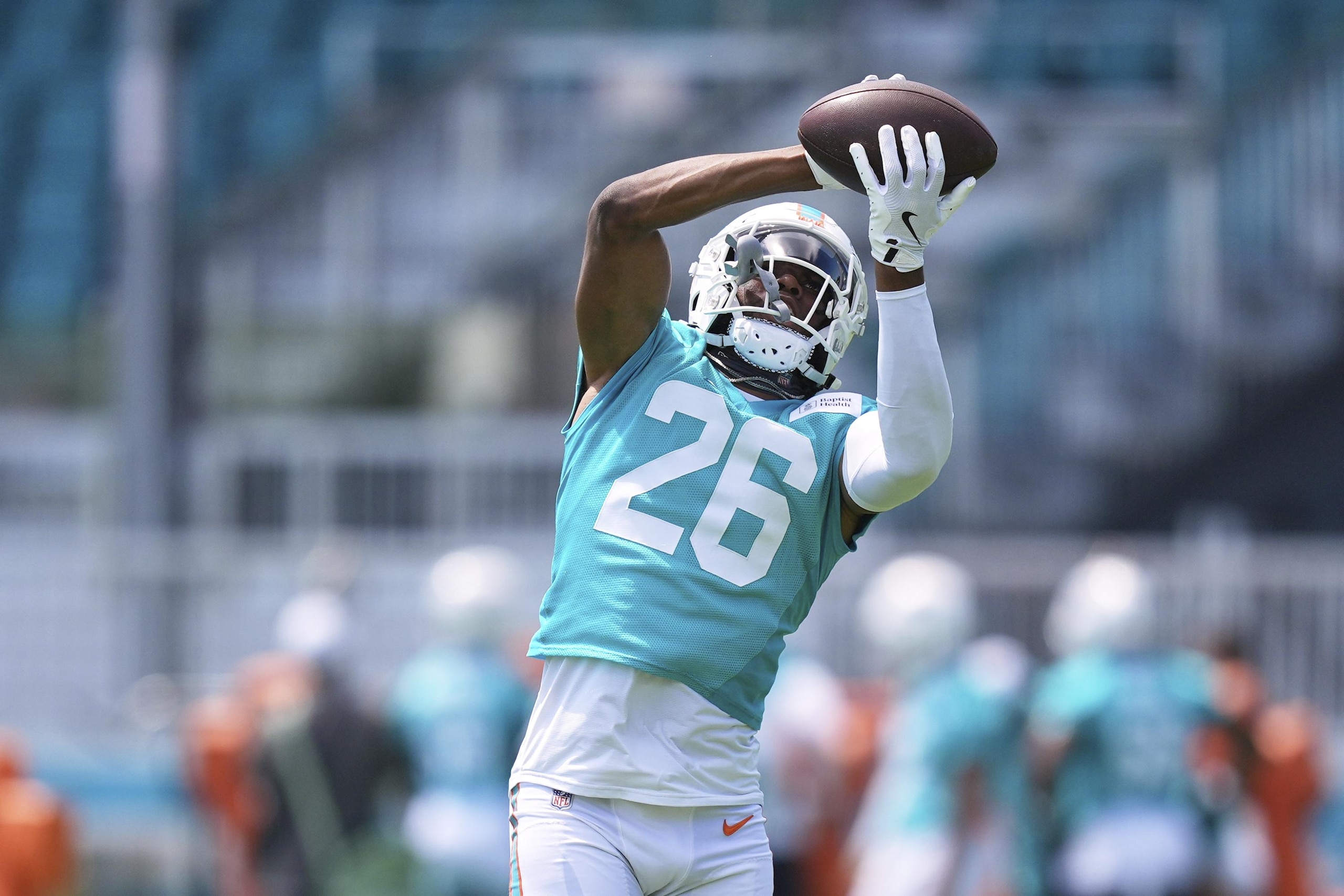 Dolphins Football
