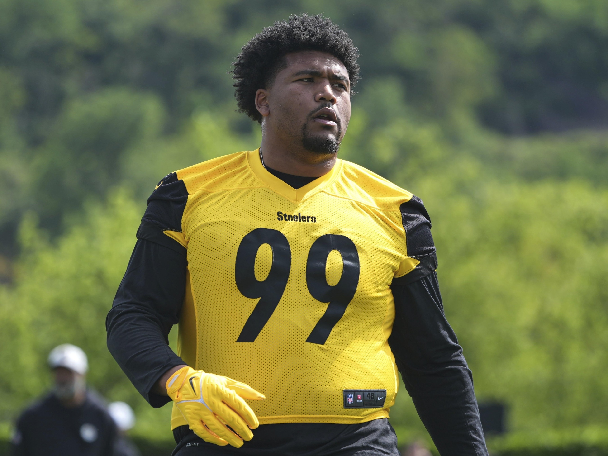 Steelers Rookies Football