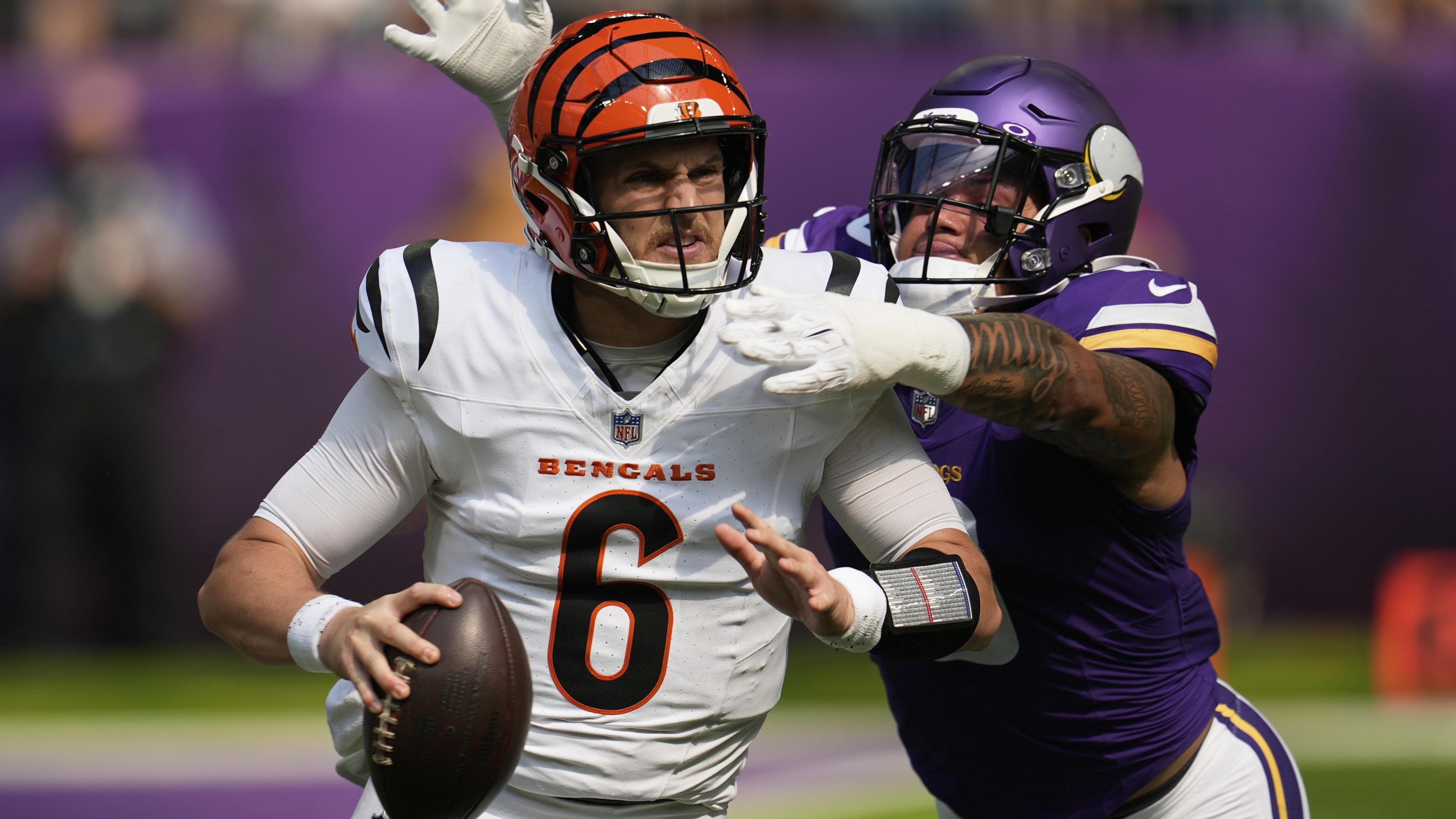 APTOPIX Bengals Vikings Football
