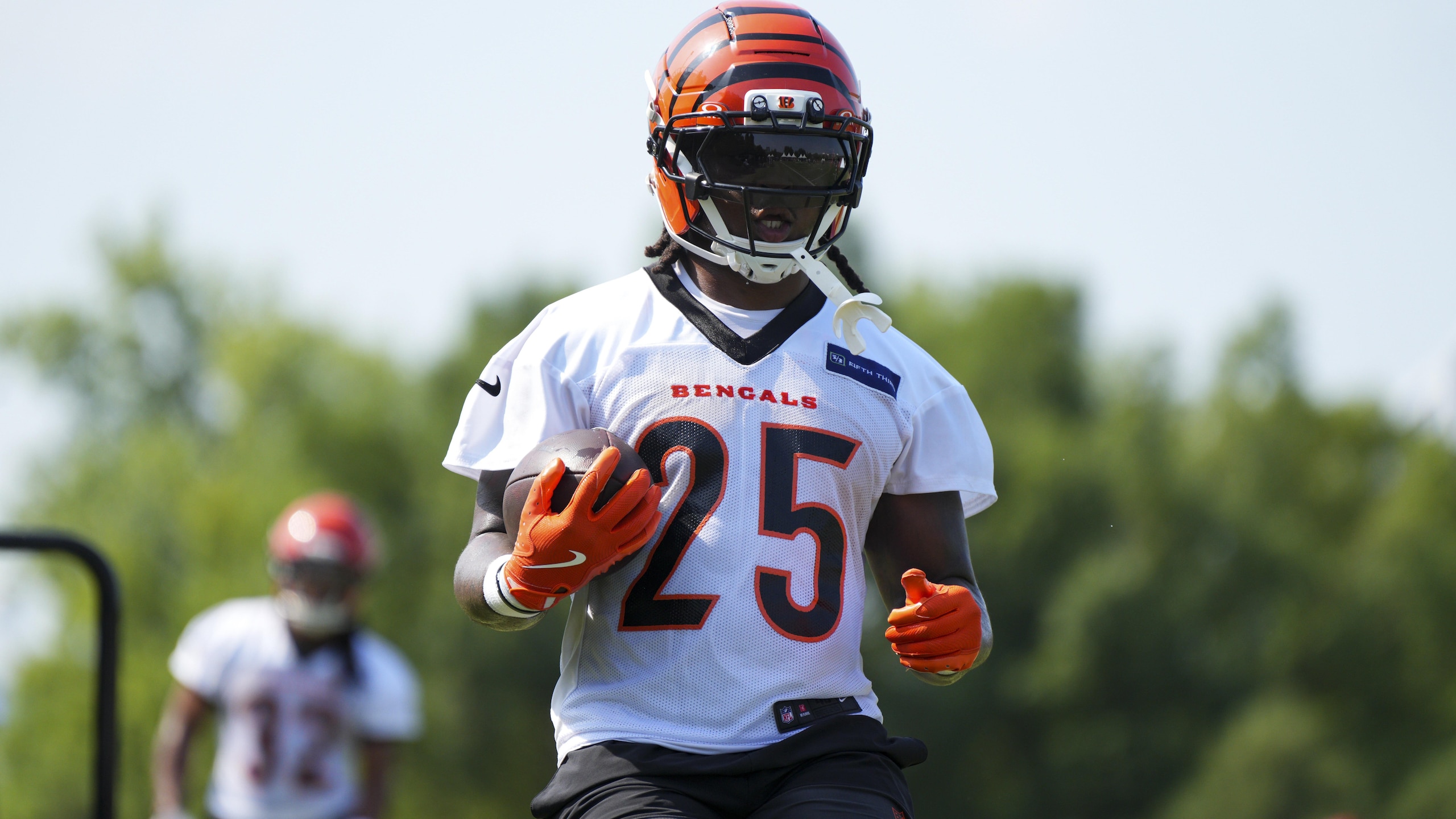 Bengals Football