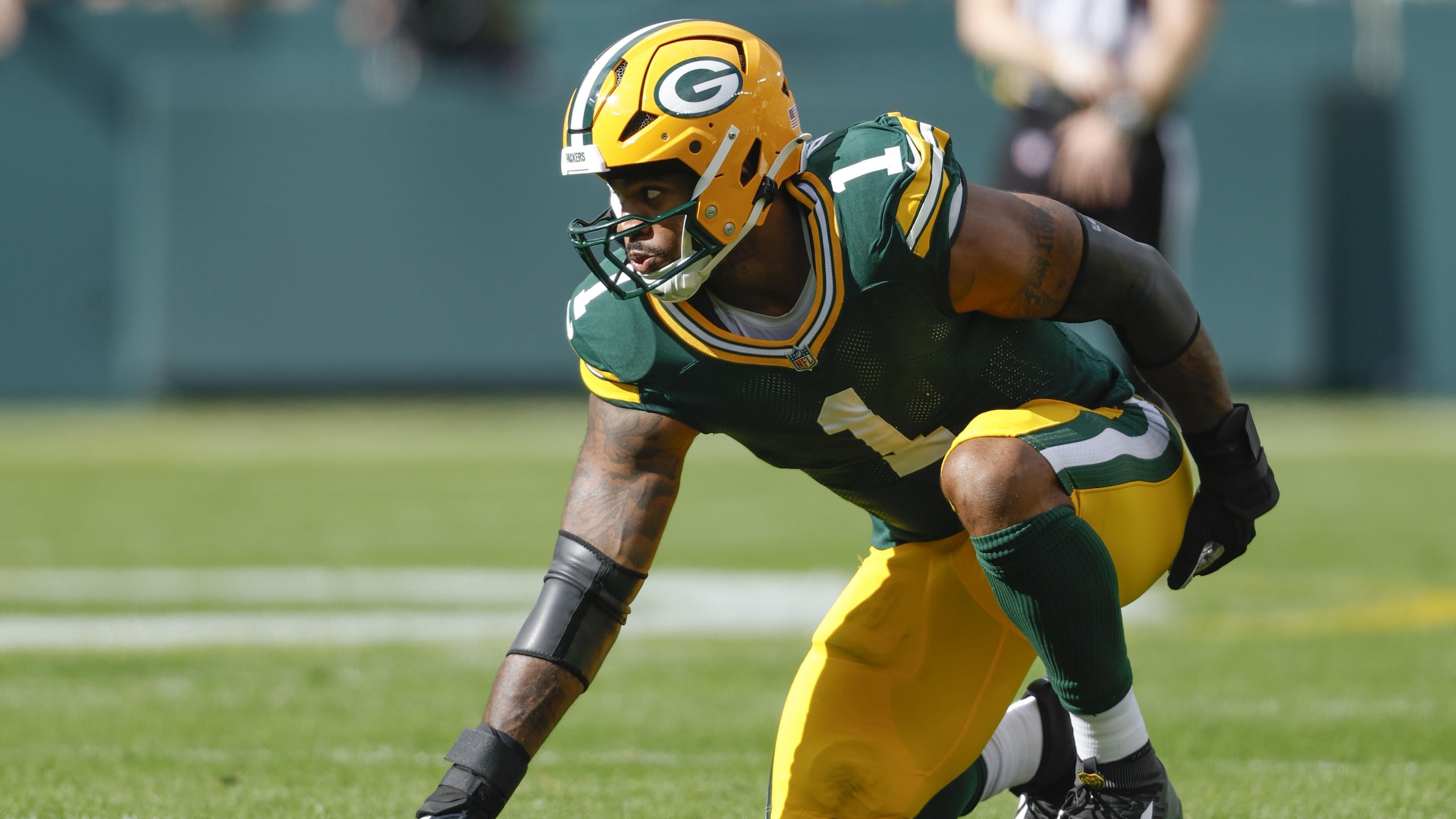 Lions Packers Football