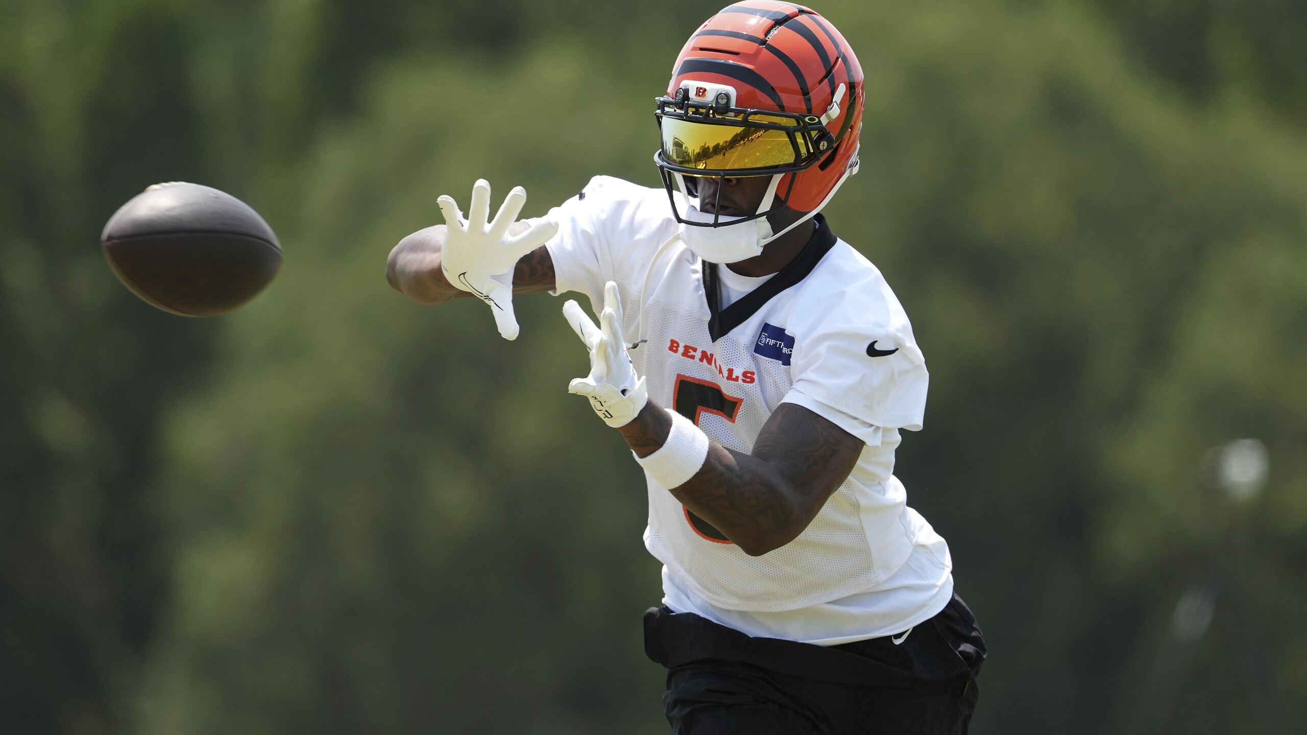 Bengals Football